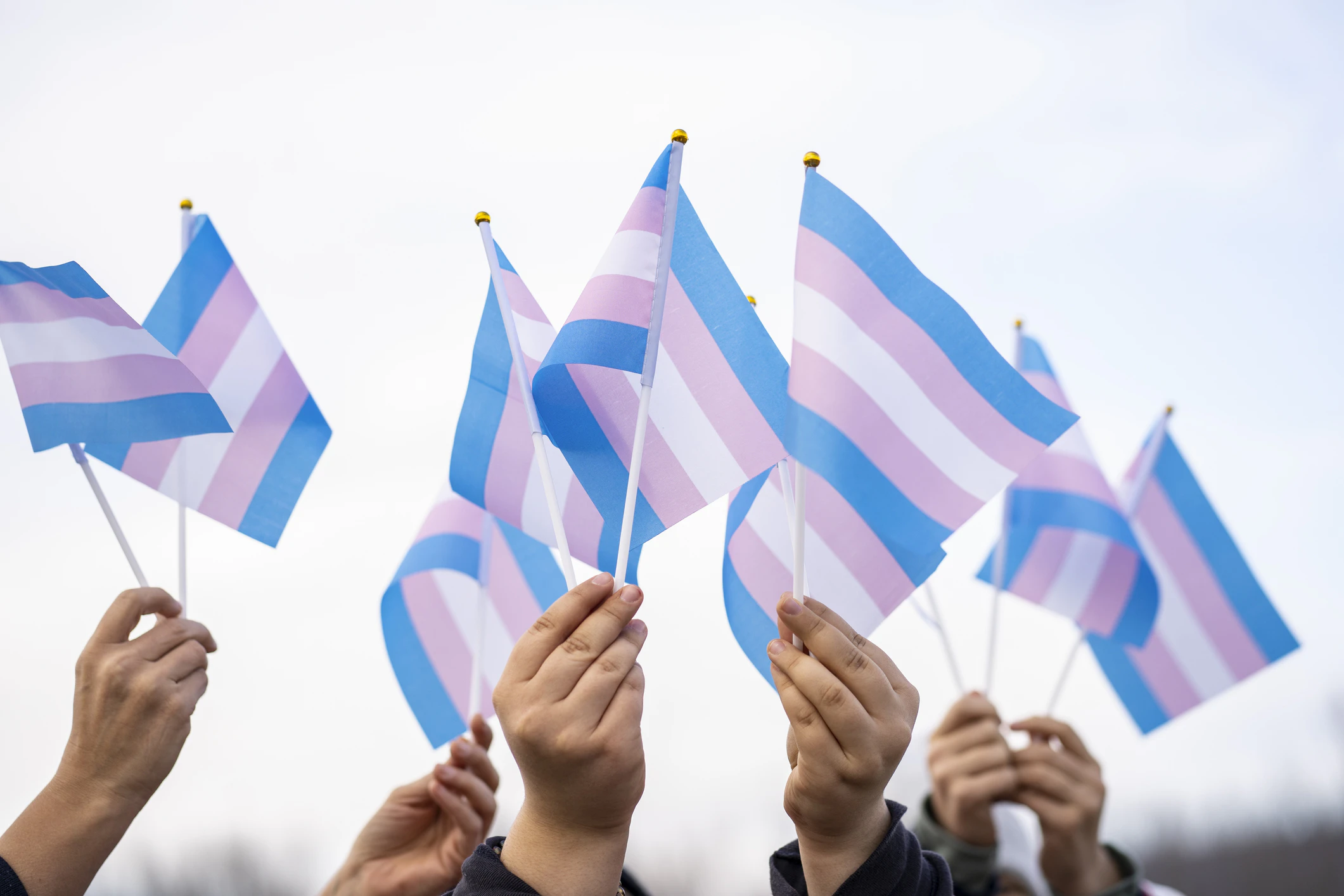 Transgender flags