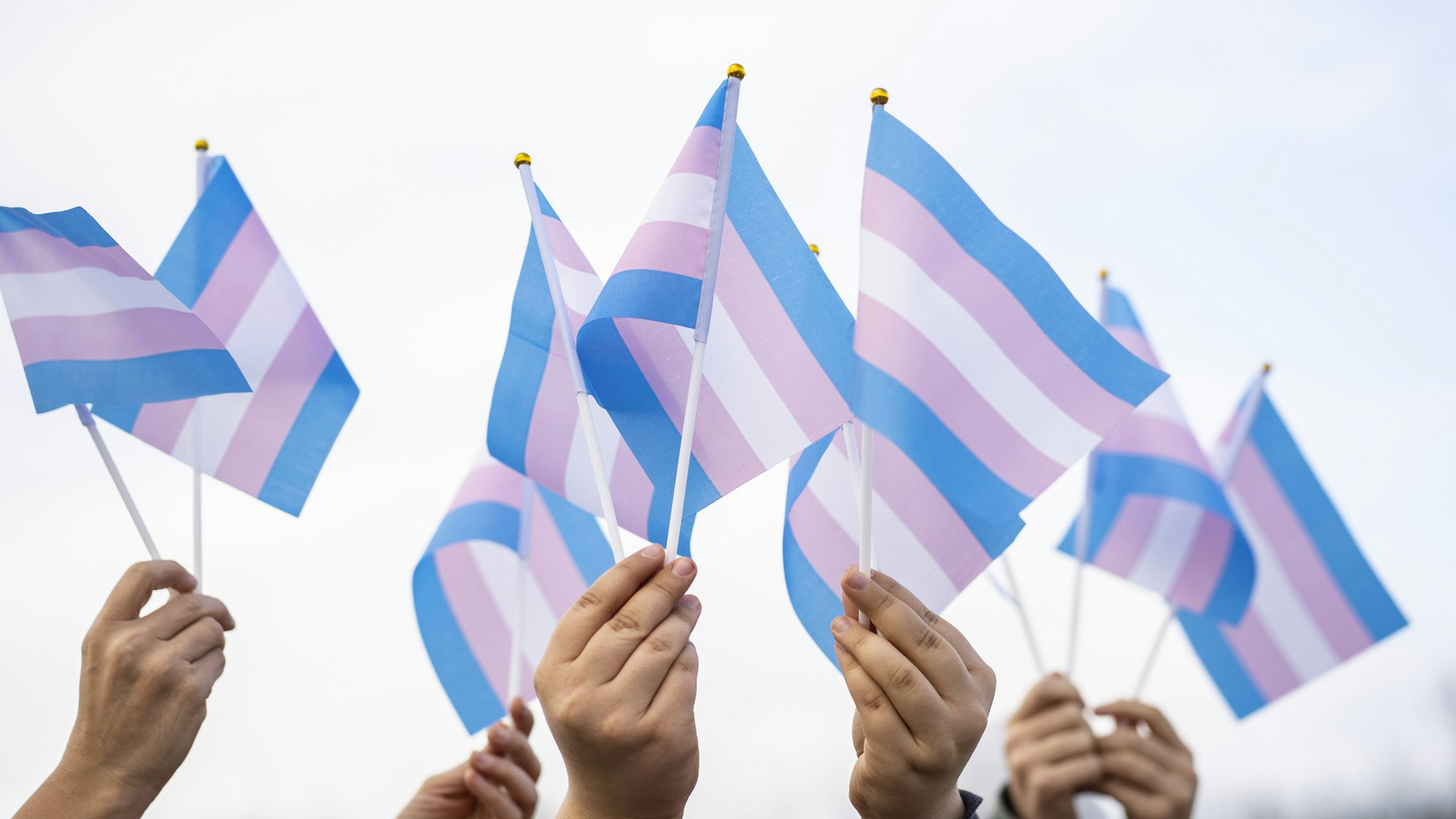 Transgender flags