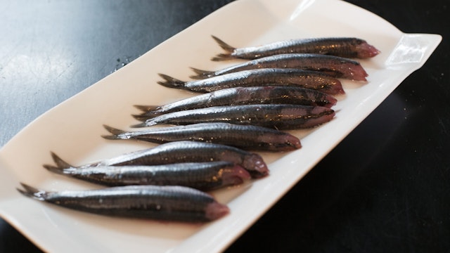 Anchovies are raining down on San Francisco in a weird phenomenon