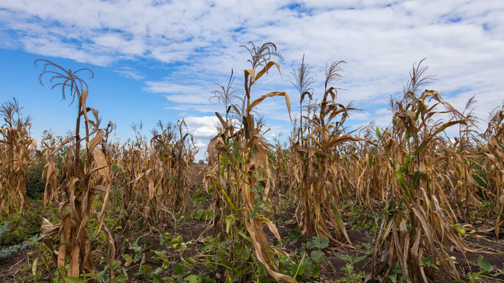 ‘Pretty Bleak’: International Economic Organization Issues New Warning About Soaring Inflation, Famine