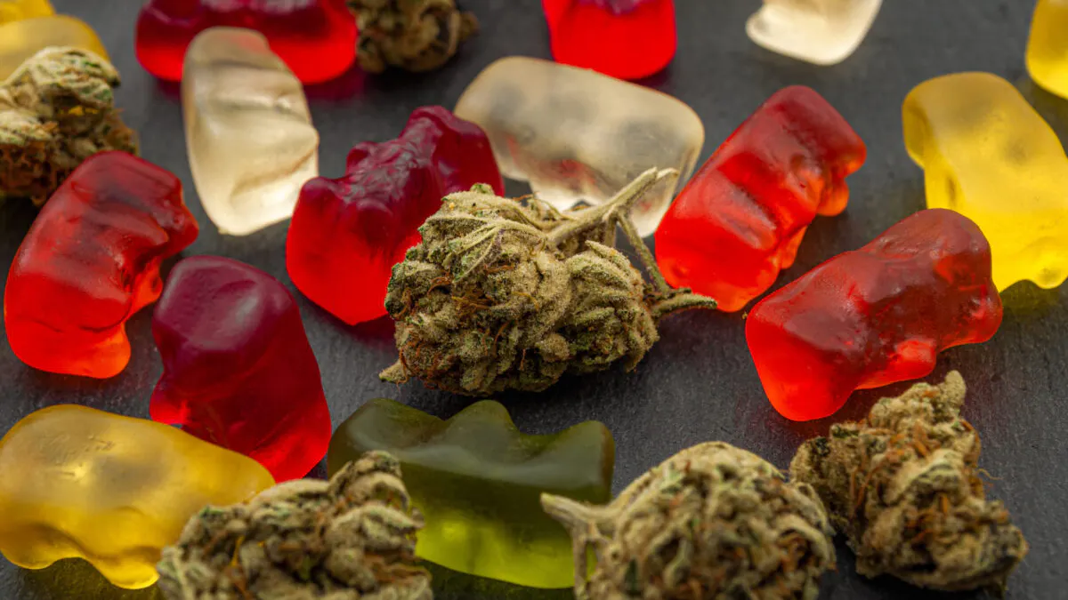 Bus Driver Charged After Blacking Out Behind Wheel, Says He ‘Didn’t Know’ He Was Eating Marijuana-Infused Gummies