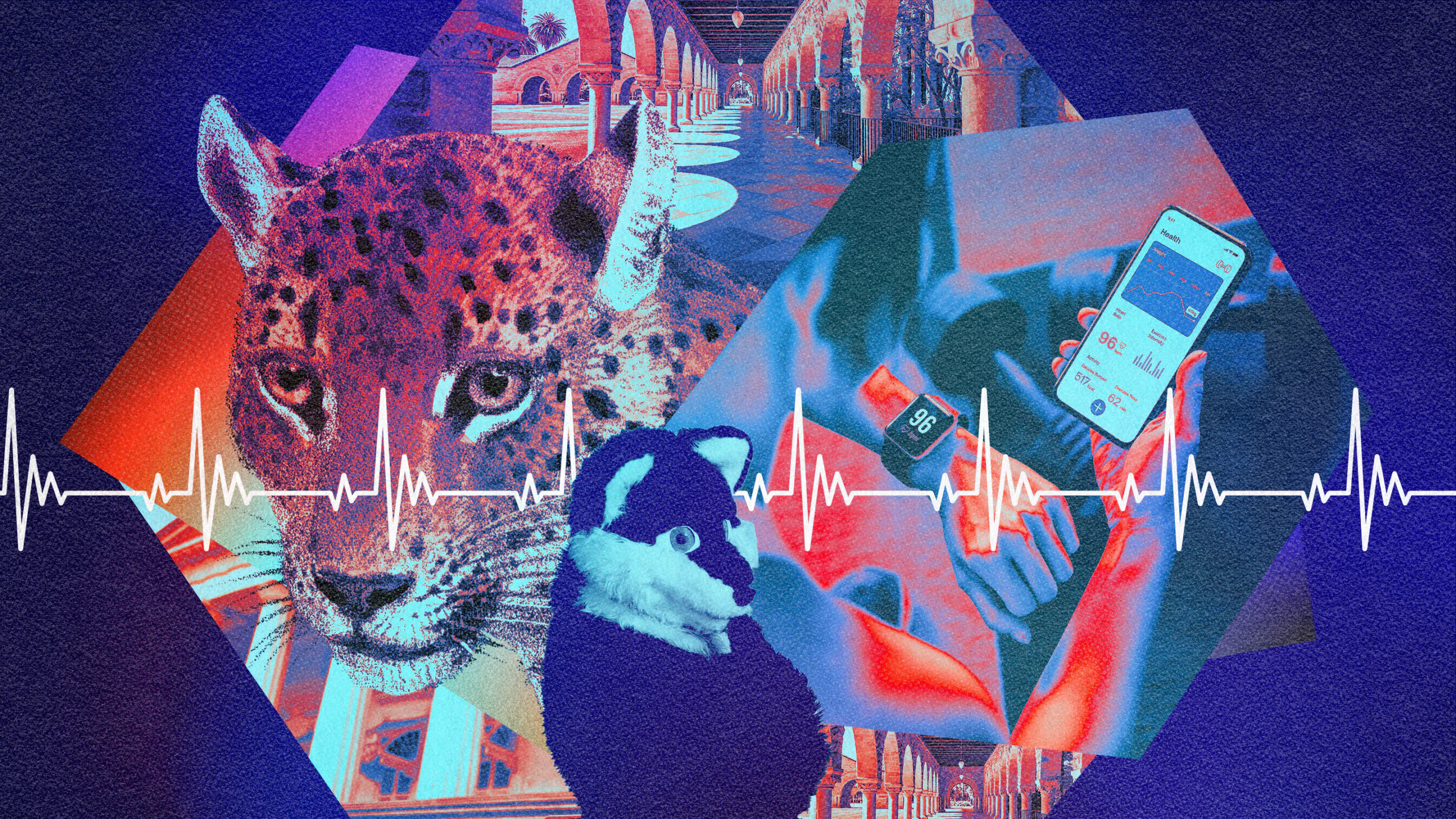 The Professor And Inventor Who Identifies As A Cheetah Named ‘Spottacus’