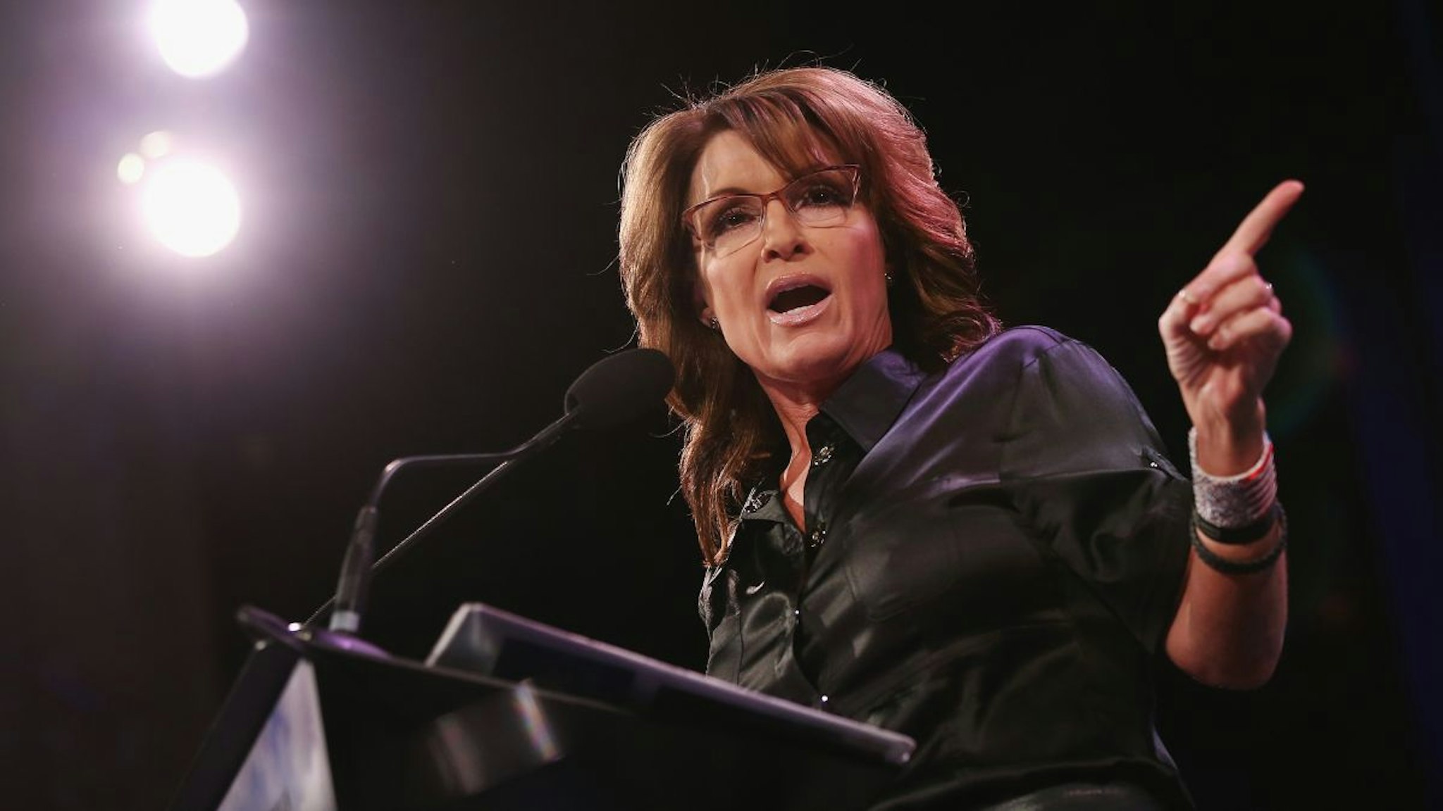 Former Alaska Governor Sarah Palin speaks to guests at the Iowa Freedom Summit on January 24, 2015 in Des Moines, Iowa.