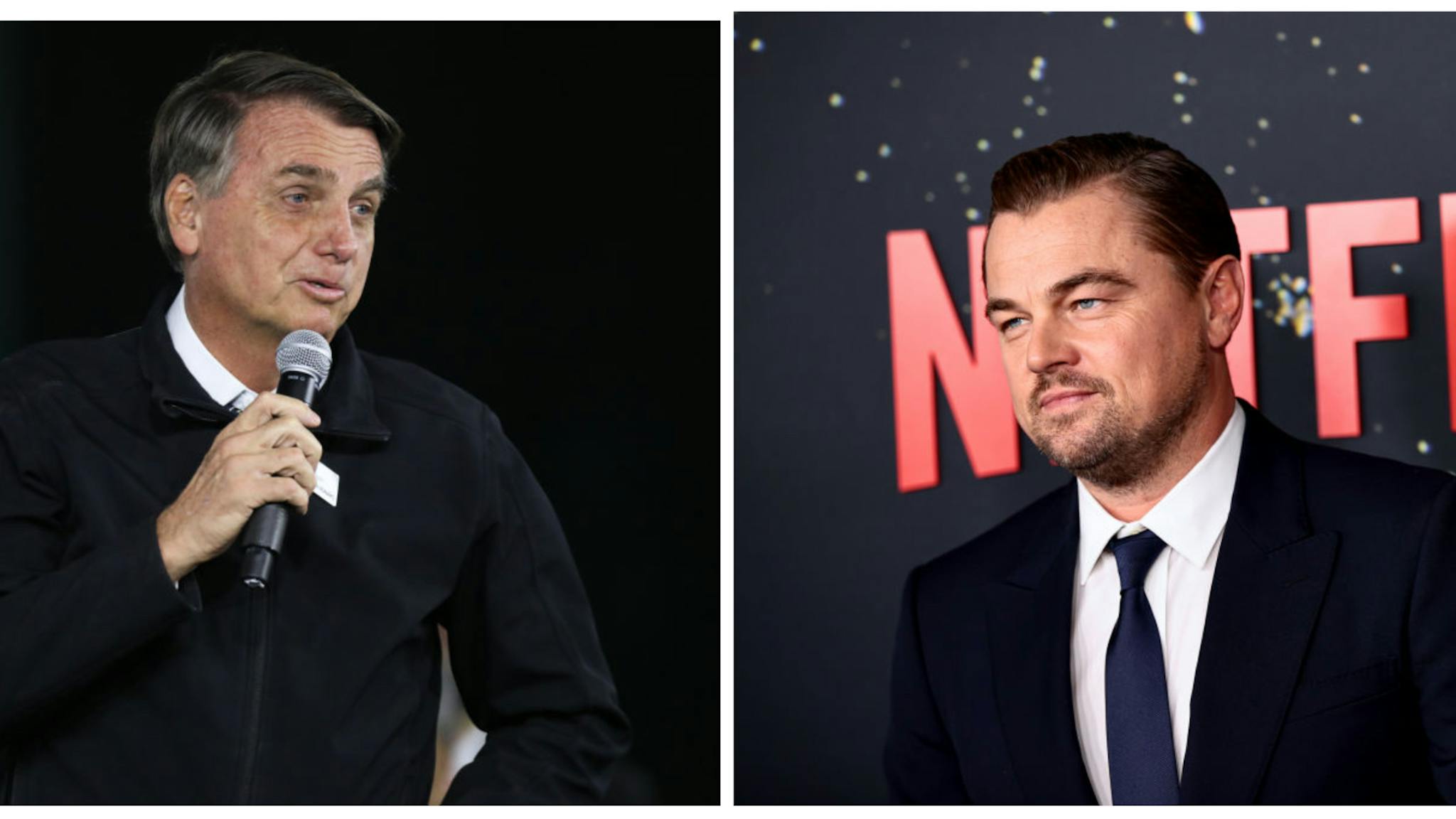 Bolsonaro/DiCaprio Bolsonaro/DiCaprio