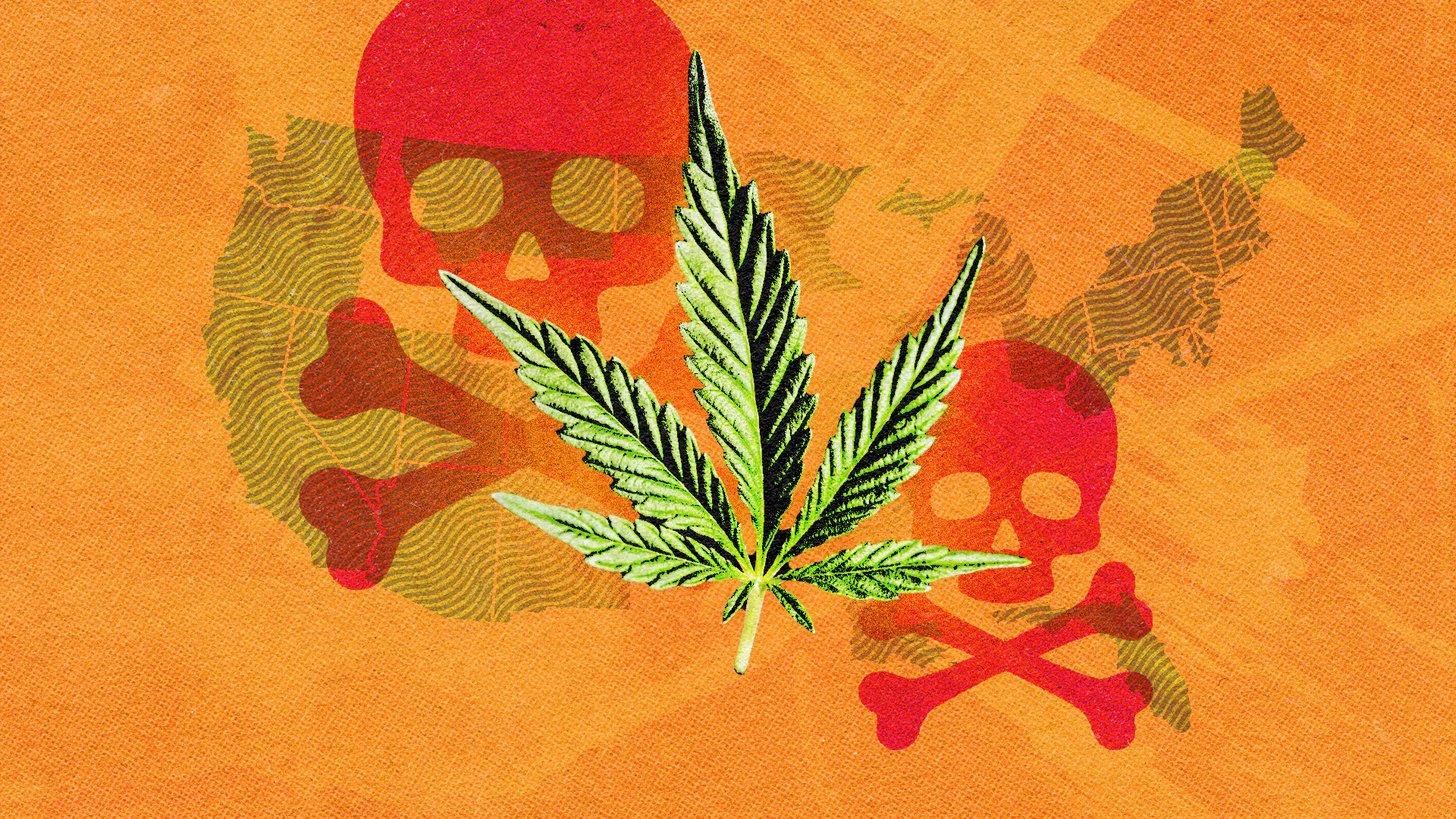 Joint Session: Questioning The Senate’s Debate On The Decriminalization Of Marijuana