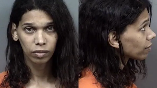 Transgender Former Cop Arrested For Allegedly Sexually Abusing Multiple Children