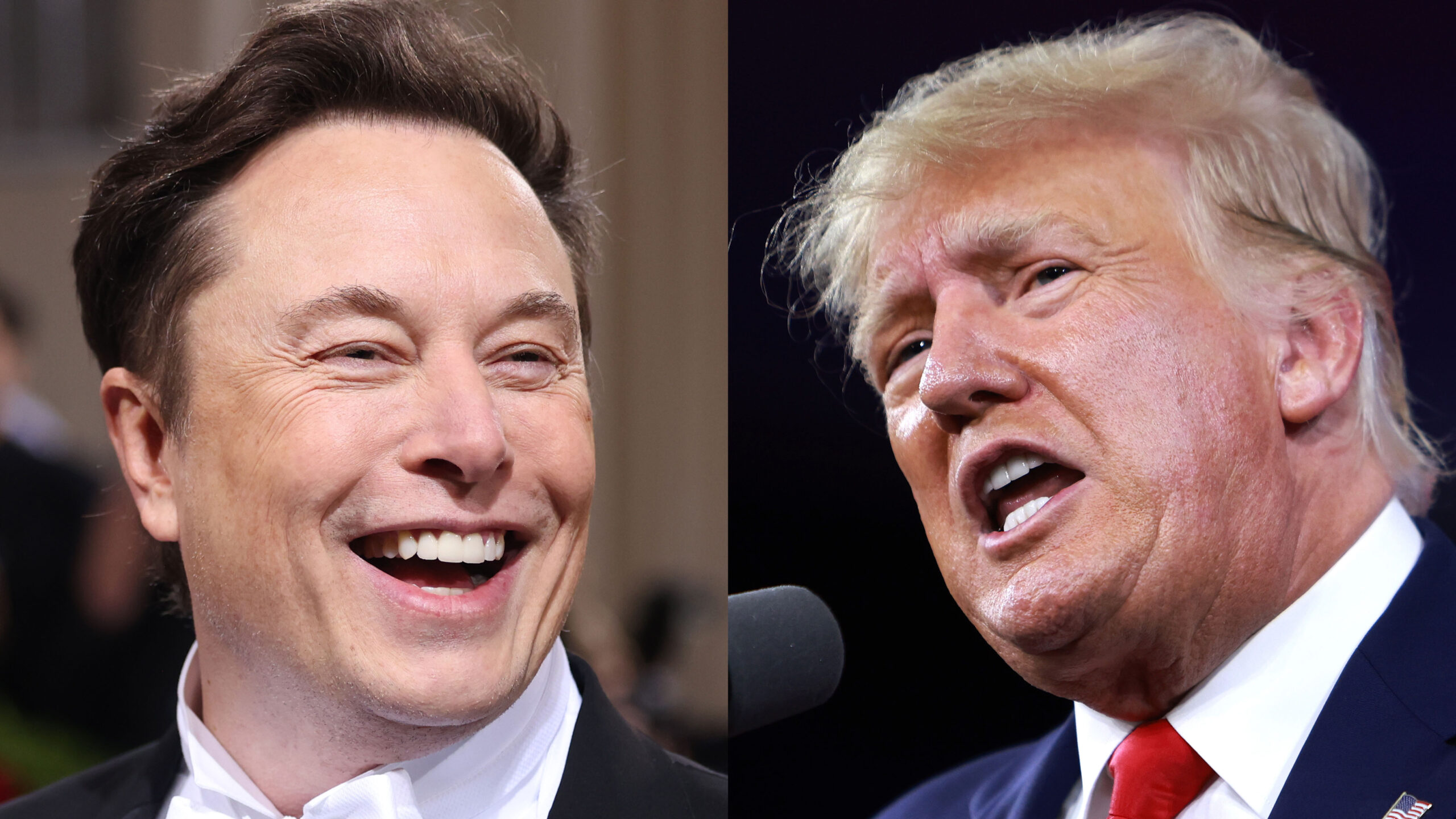 Elon Musk Predicts Trump Wins ‘In A Landslide Victory’ If Arrested