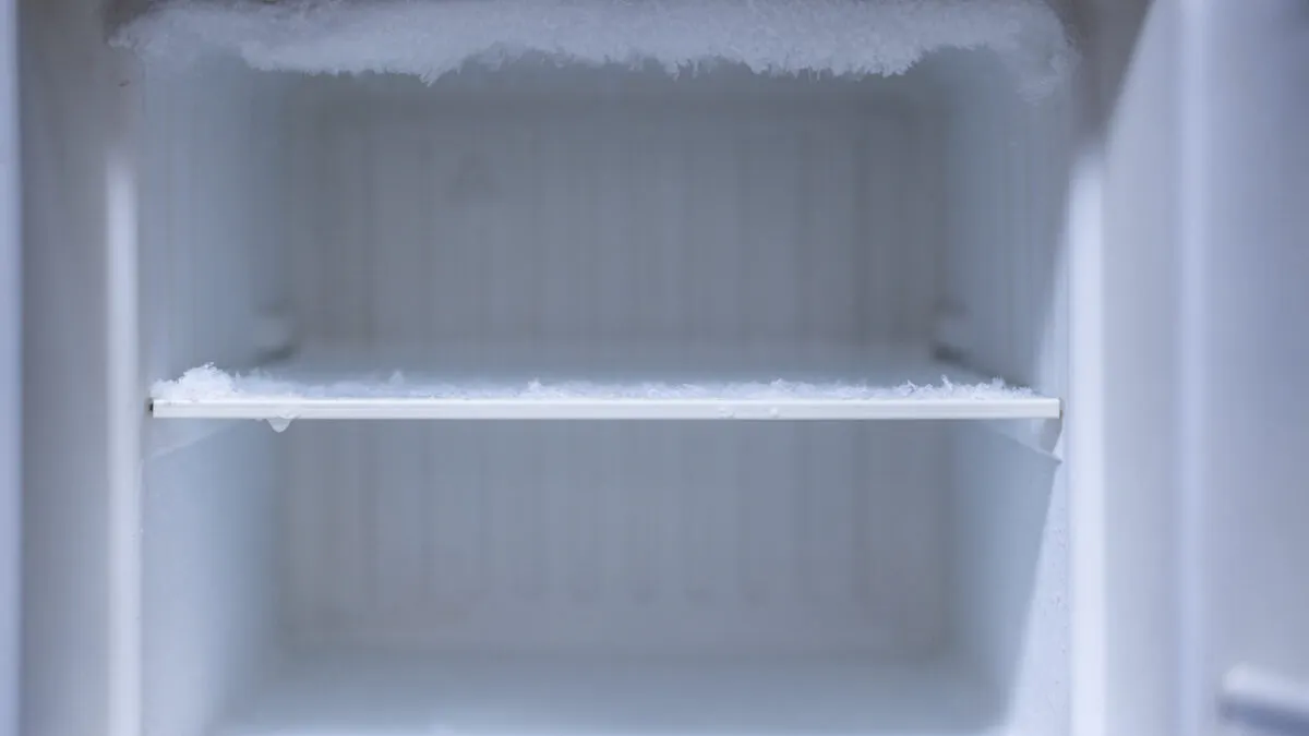 Woman Bought Freezer To Hide Dead Mom, Collect Her Checks: Police