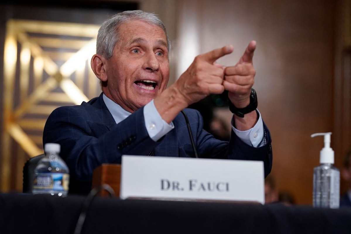 'Go Ahead': Fauci Dares Rand Paul To Make Good On Threats To Investigate Him