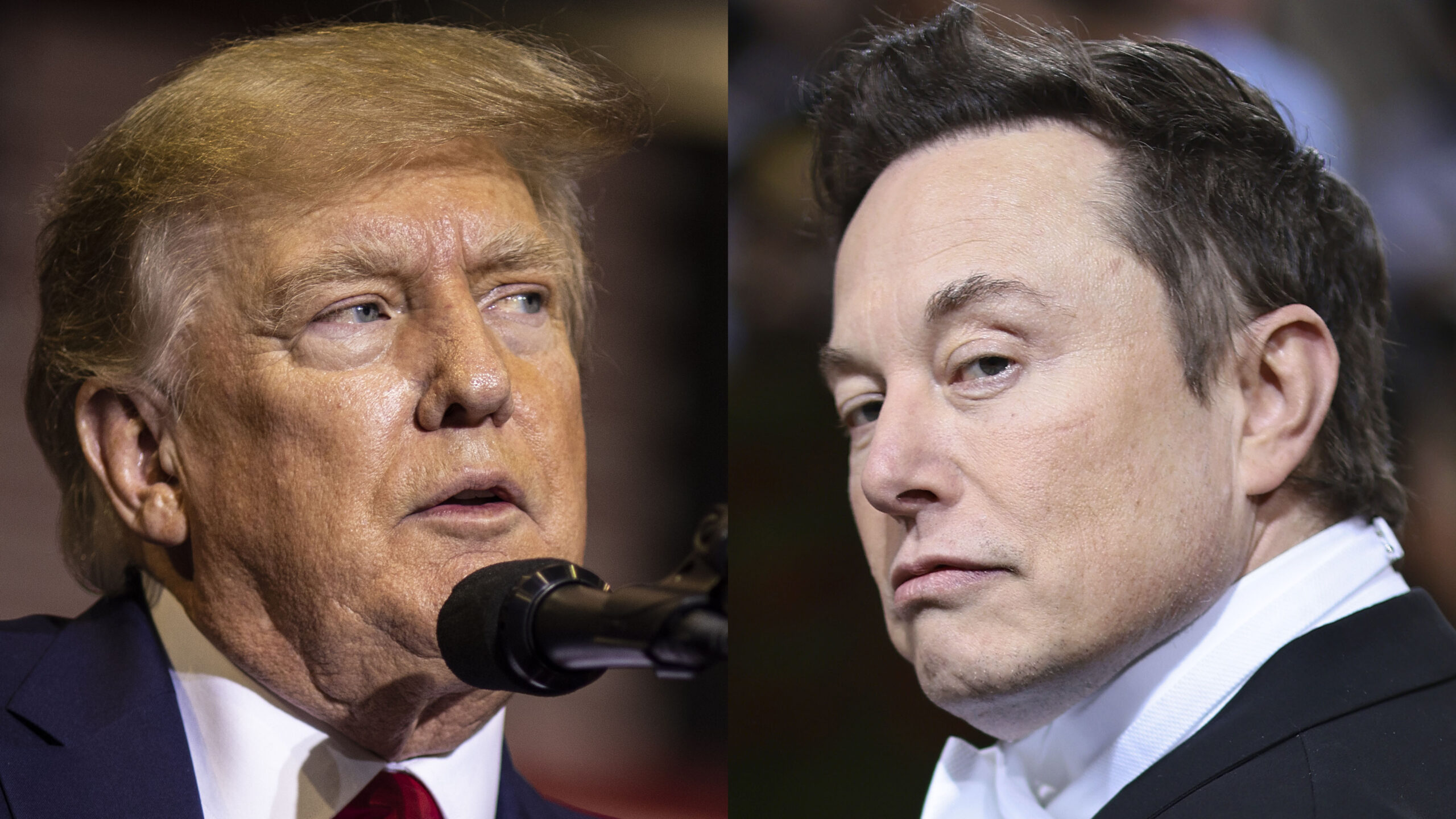 Musk Responds Directly To Trump Labeling Him A ‘Bulls**t Artist’, Makes ...