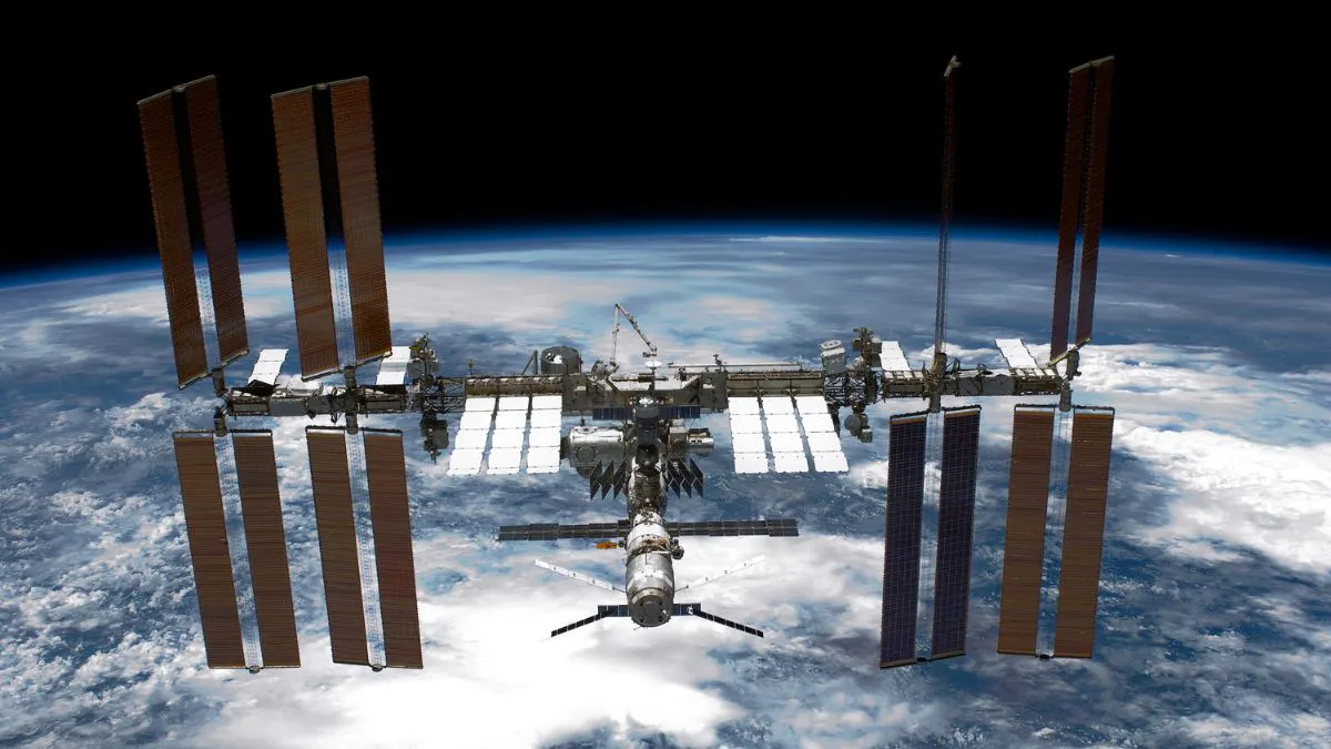 Researchers Grow Stem Cells Aboard International Space Station In New Study