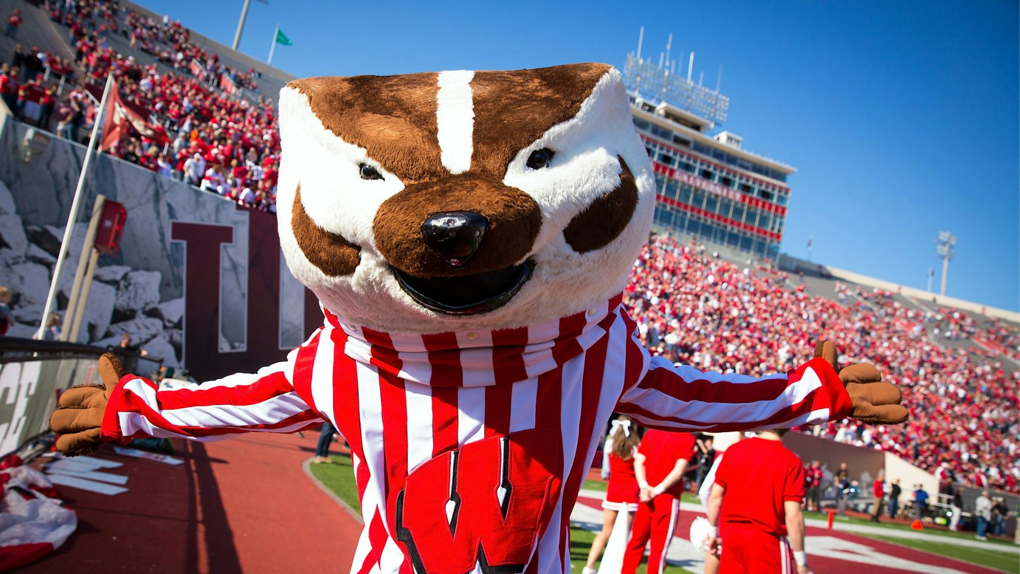 BLOOMINGTON, IN - NOVEMBER 10: Bucky Badger of the Wisconsin Badgers is seen on the field during the game against the Indiana Hoosiers at Memorial Stadium on November 10, 2012 in Bloomington, Indiana.