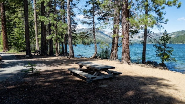 Donner Lake Pine trees and the waters of Donner Lake are visible at Donner Memorial State Park, Truckee, California, June 13, 2022. Photo courtesy Sftm. (Photo by Gado/Getty Images) Gado / Contributor