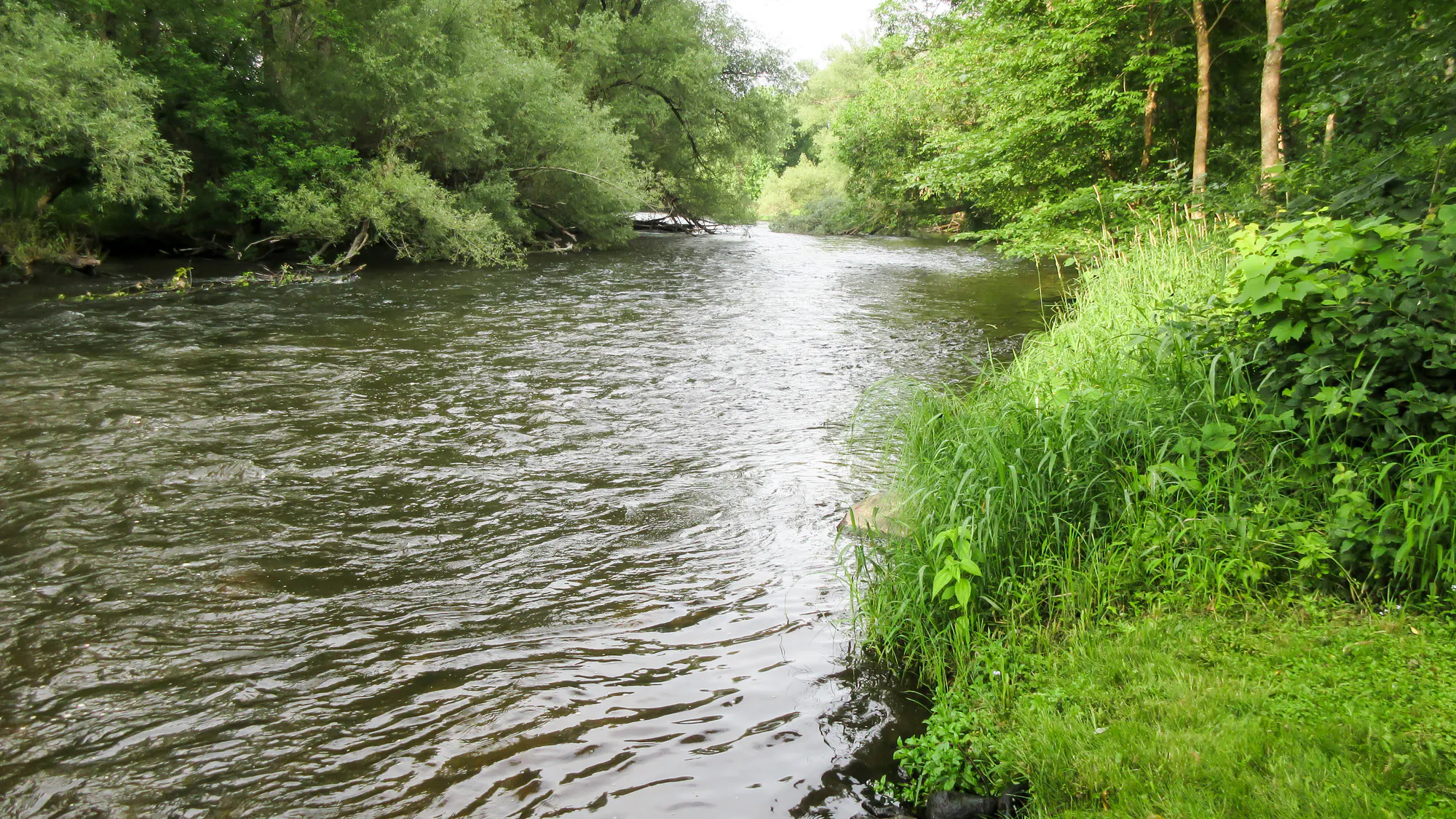 Man Accused Of Stabbing Teen To Death In Tubing Attack Claims Self-Defense