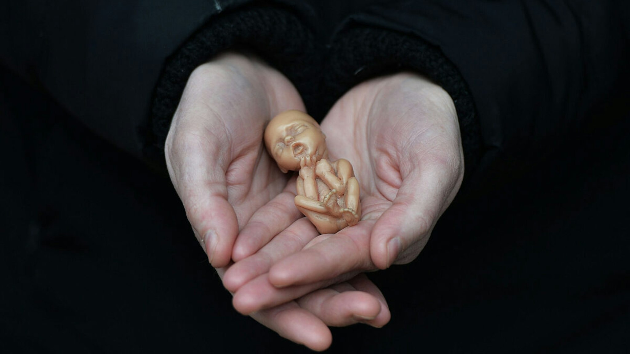A Pro Life campaigner displays a plastic doll representing a 12 week old foetus as she stands outside the Marie Stopes Clinic on April 7, 2016 in Belfast, Northern Ireland