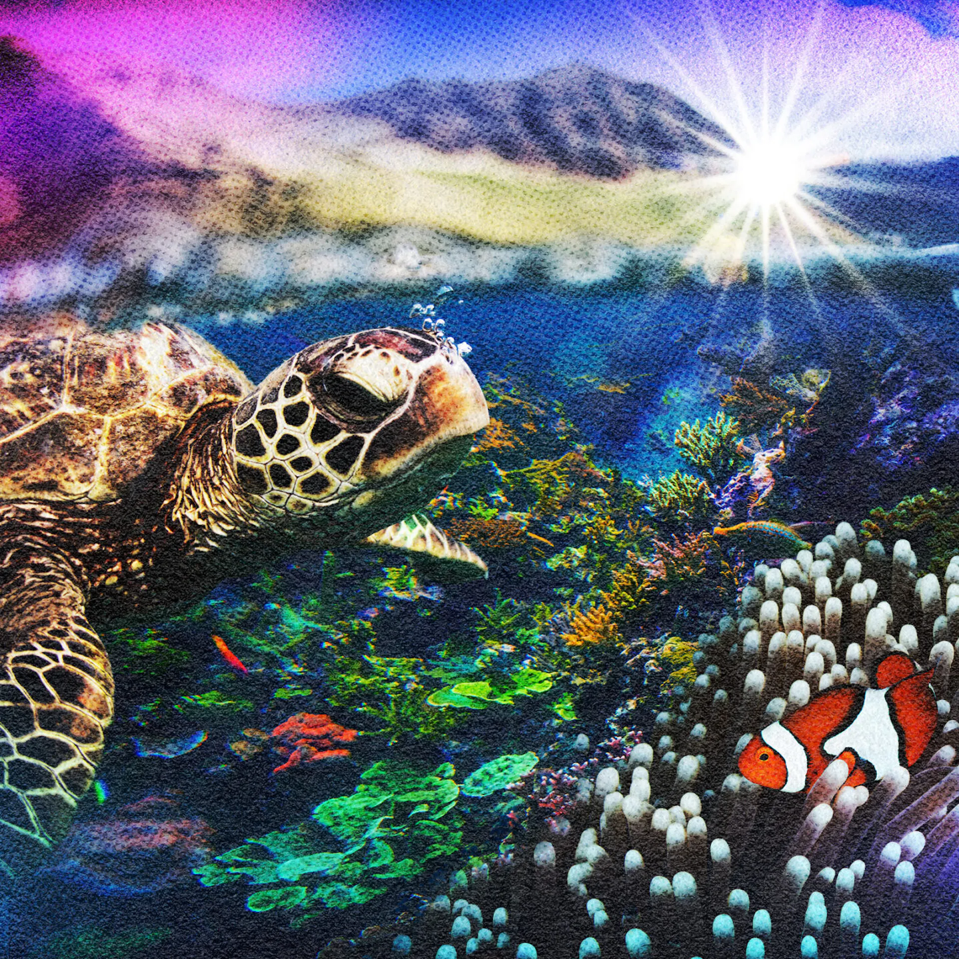 With An Increase In Coral Cover, The Great Barrier Reef Is Thriving