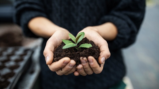 Female gardener holding a sapling with soil - stock photo Cropped shot of a female gardener holding a sapling with soil. Close-up of gardener's hands with a young plant at garden center. Luis Alvarez via Getty Images
