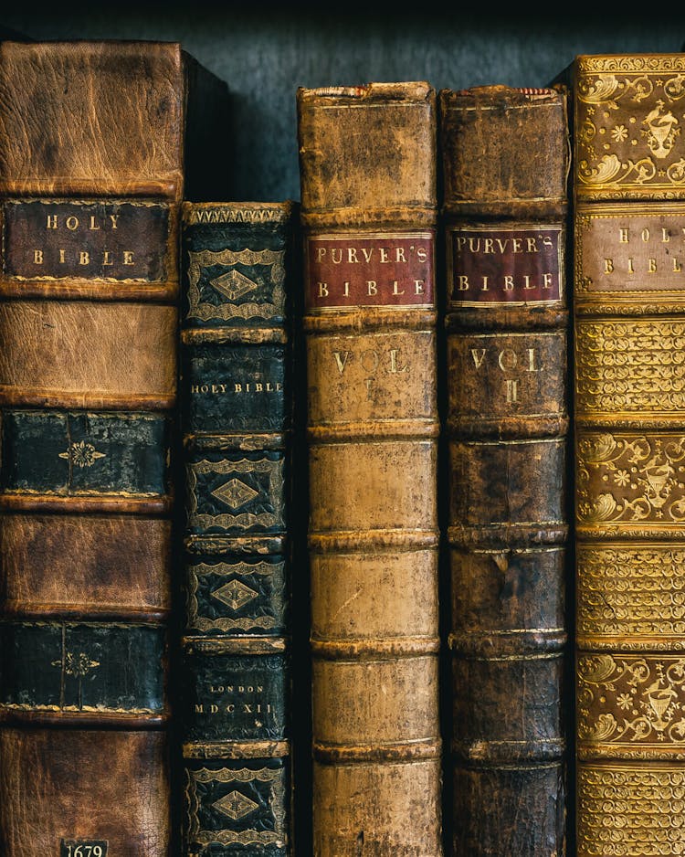 What The Bible Really Says About Gender what-the-bible-really-says-about-gender