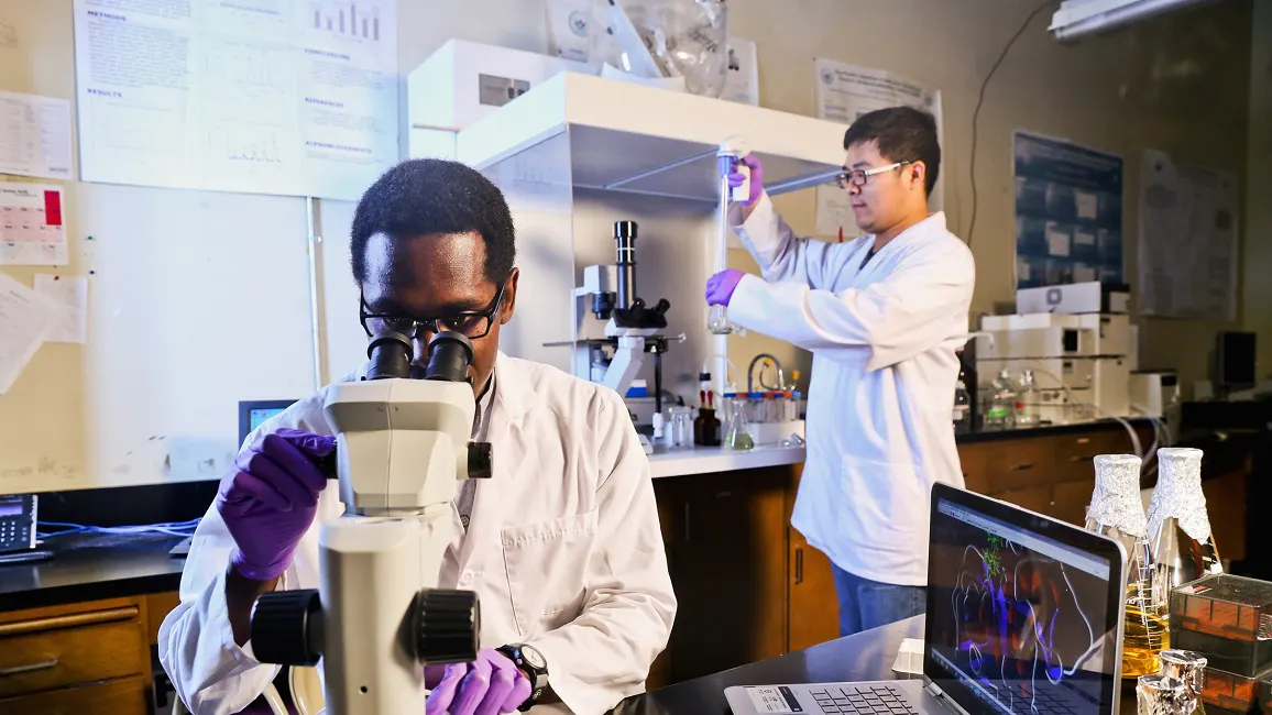 Asians Get Smallest Science Grants From Government Following Anti-Racism Policy That Deprioritizes Them