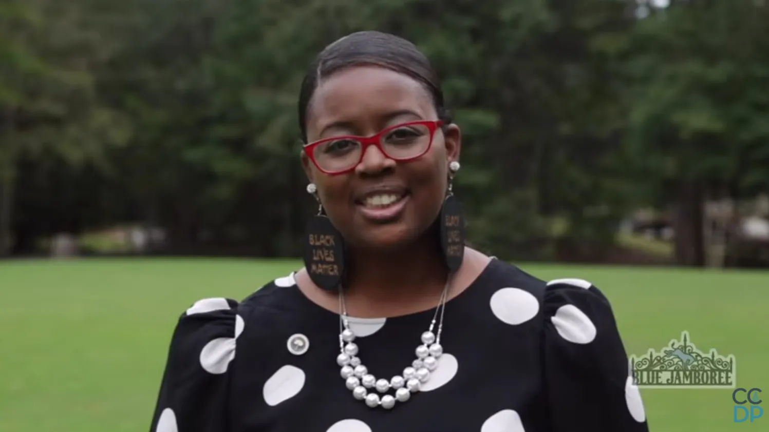 Democrats Push Their U.S. Senate Nominee In South Carolina To Quit After Racist Remarks About White People