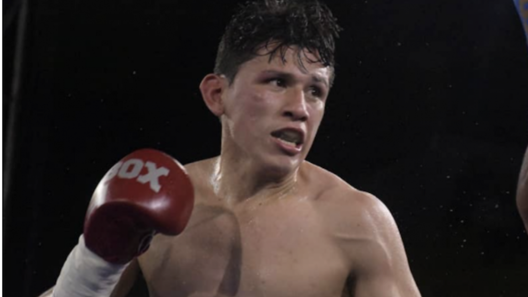 Boxer Luis Quinones, who was an undefeated junior welterweight before he was knocked out Saturday night in a Colombia bout against a pal and sparring partner, has died of his injuries.
