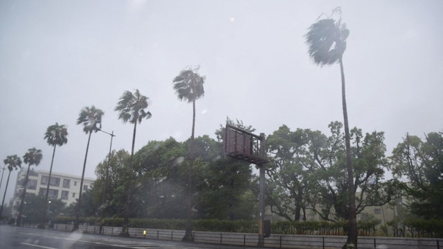 Roadside trees are blown by strong winds as Typhoon Nanmadol approaches in Kagoshima city, south of Kyushu, on September 18, 2022.