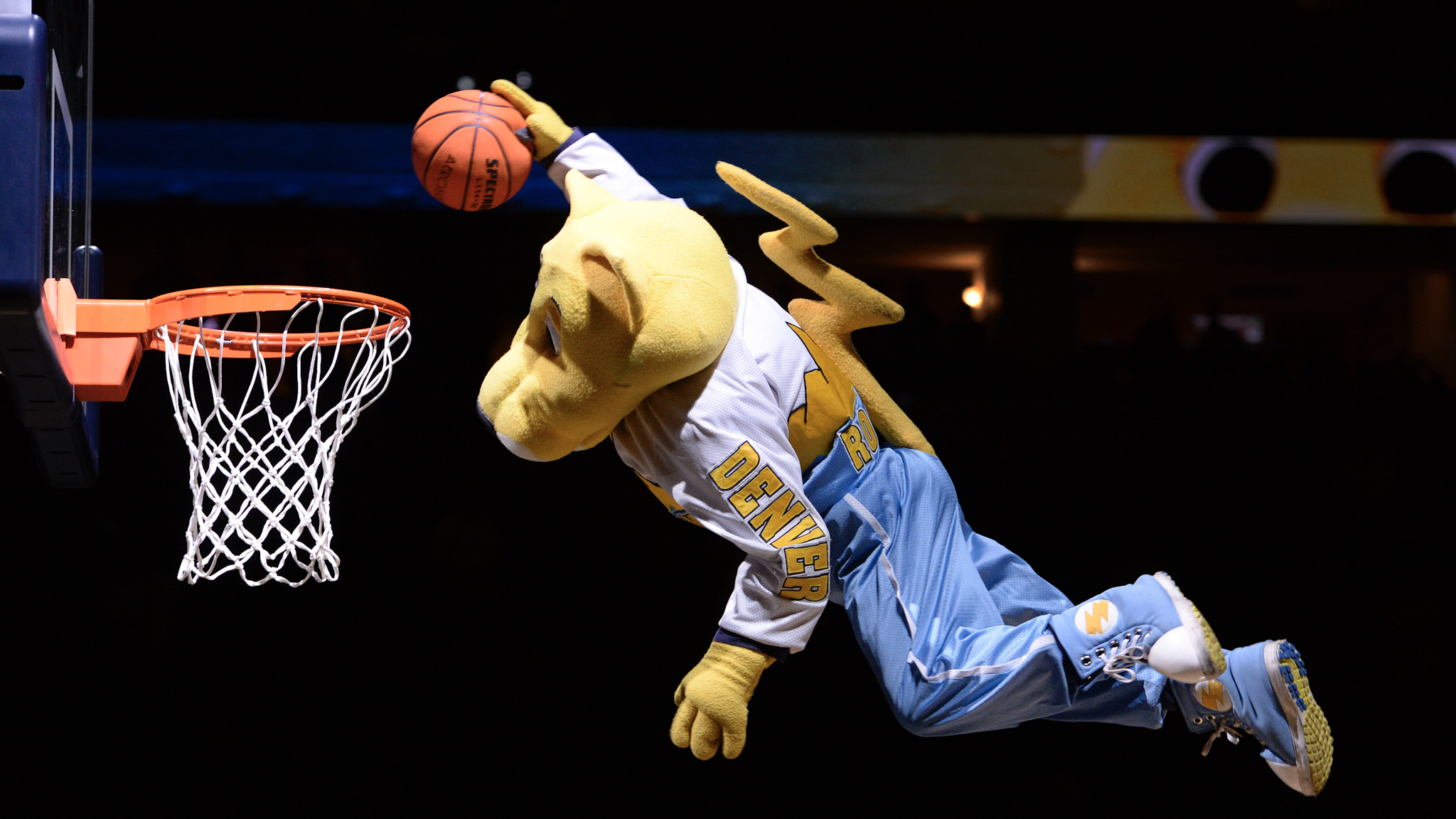 DENVER, CO - MARCH 08: Denver Nuggets mascot does his high flying dunk before the game agains the Denver Nuggets and the New York Knicks March 8, 2016 at Pepsi Center.