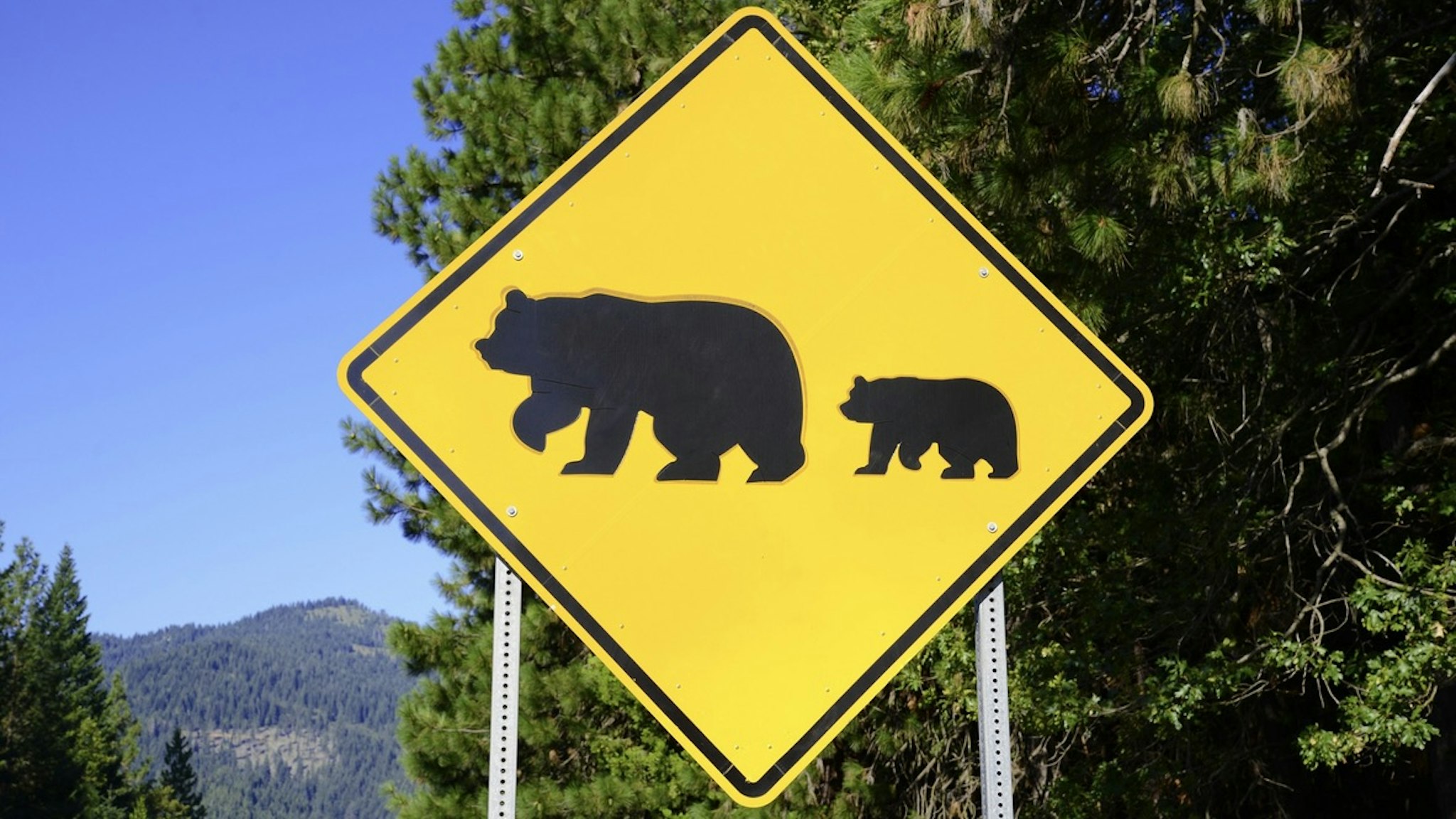 Bear crossing sign on the road - stock photo Bear crossing sign on the road robertcicchetti via Getty Images