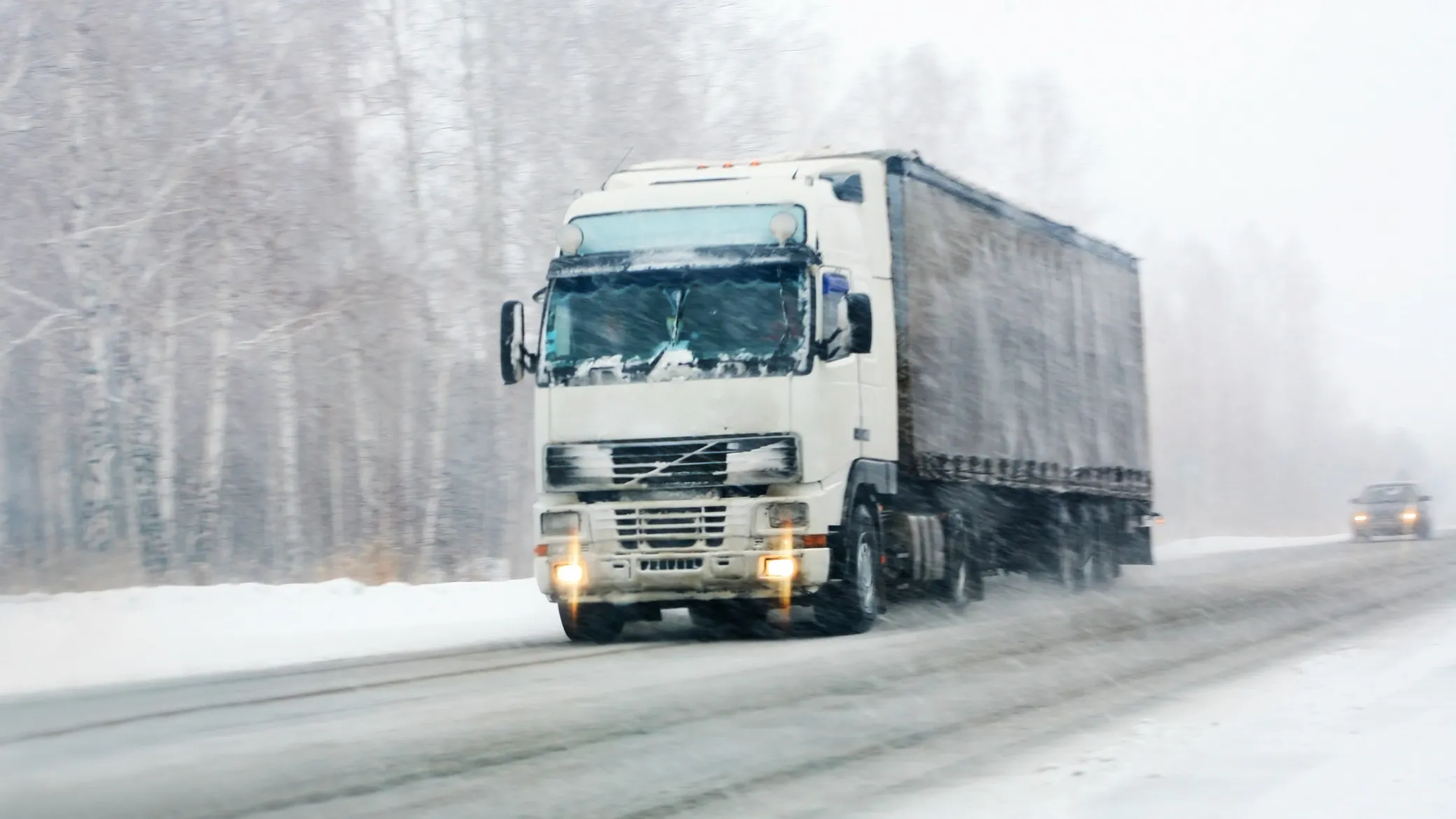 Trucker Who Admitted To Killing NYC Model Gets Sentenced