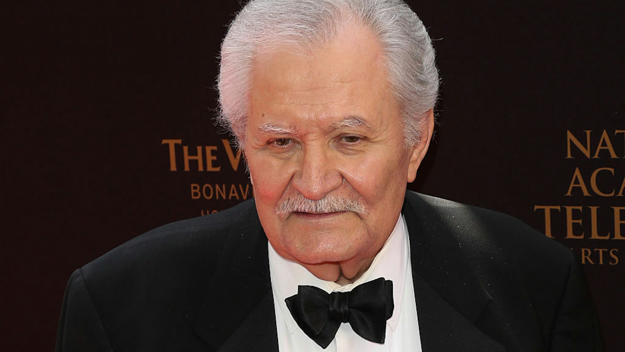 LOS ANGELES, CA - MAY 01: Actor John Aniston attends the 2016 Daytime Emmy Awards at The Westin Bonaventure Hotel on May 1, 2016 in Los Angeles, California. (Photo by Paul Archuleta/FilmMagic)