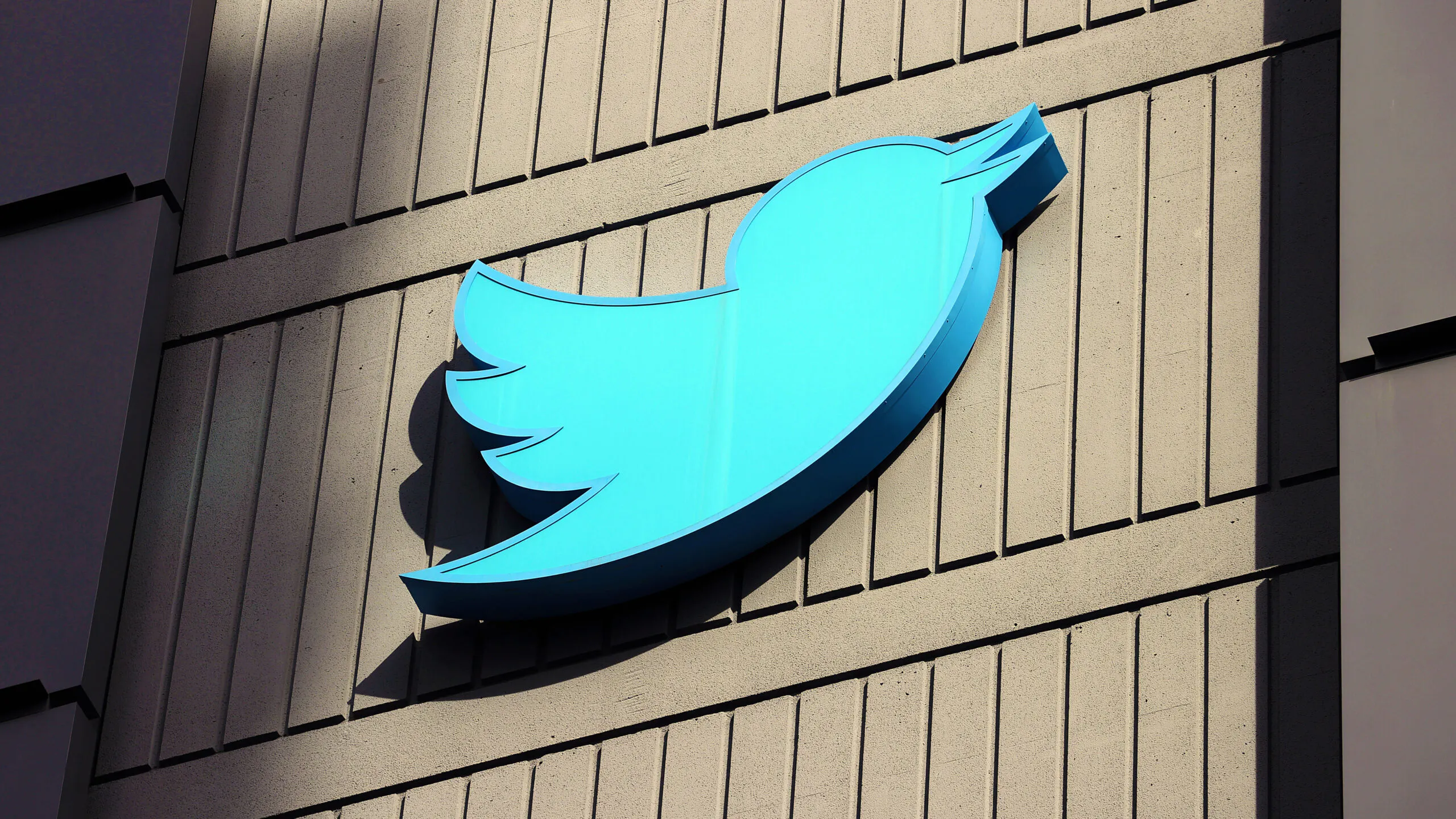 Elon Musk Sends Email To Twitter Staff Notifying Them Of Mass Layoffs