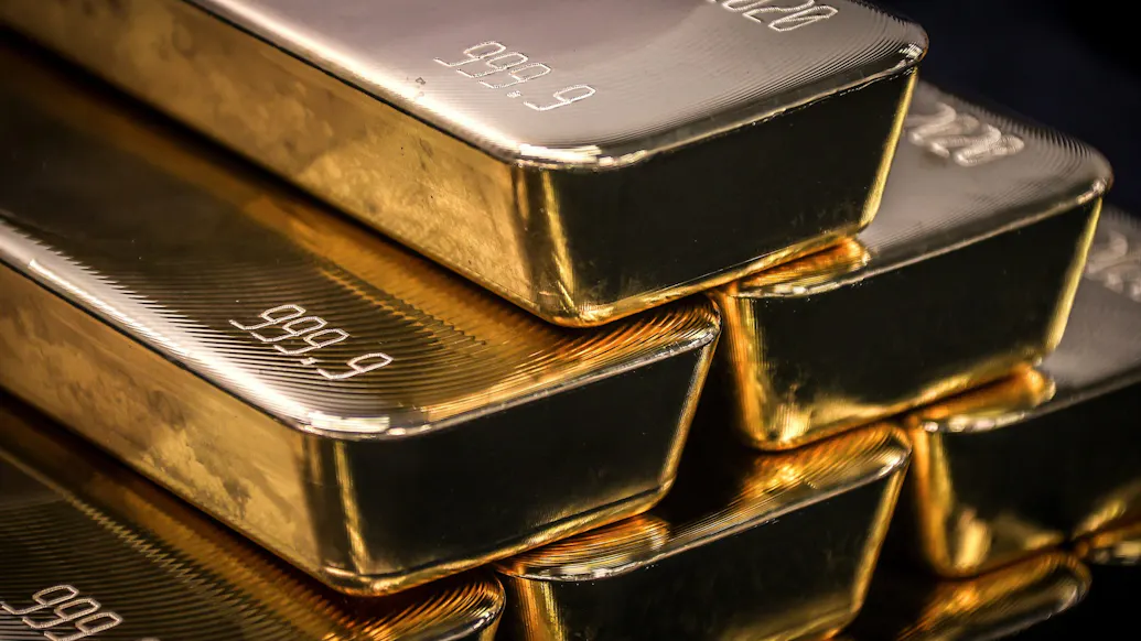Treasures From Sunken Pre-Civil War ‘Ship Of Gold’ Go Up For Auction