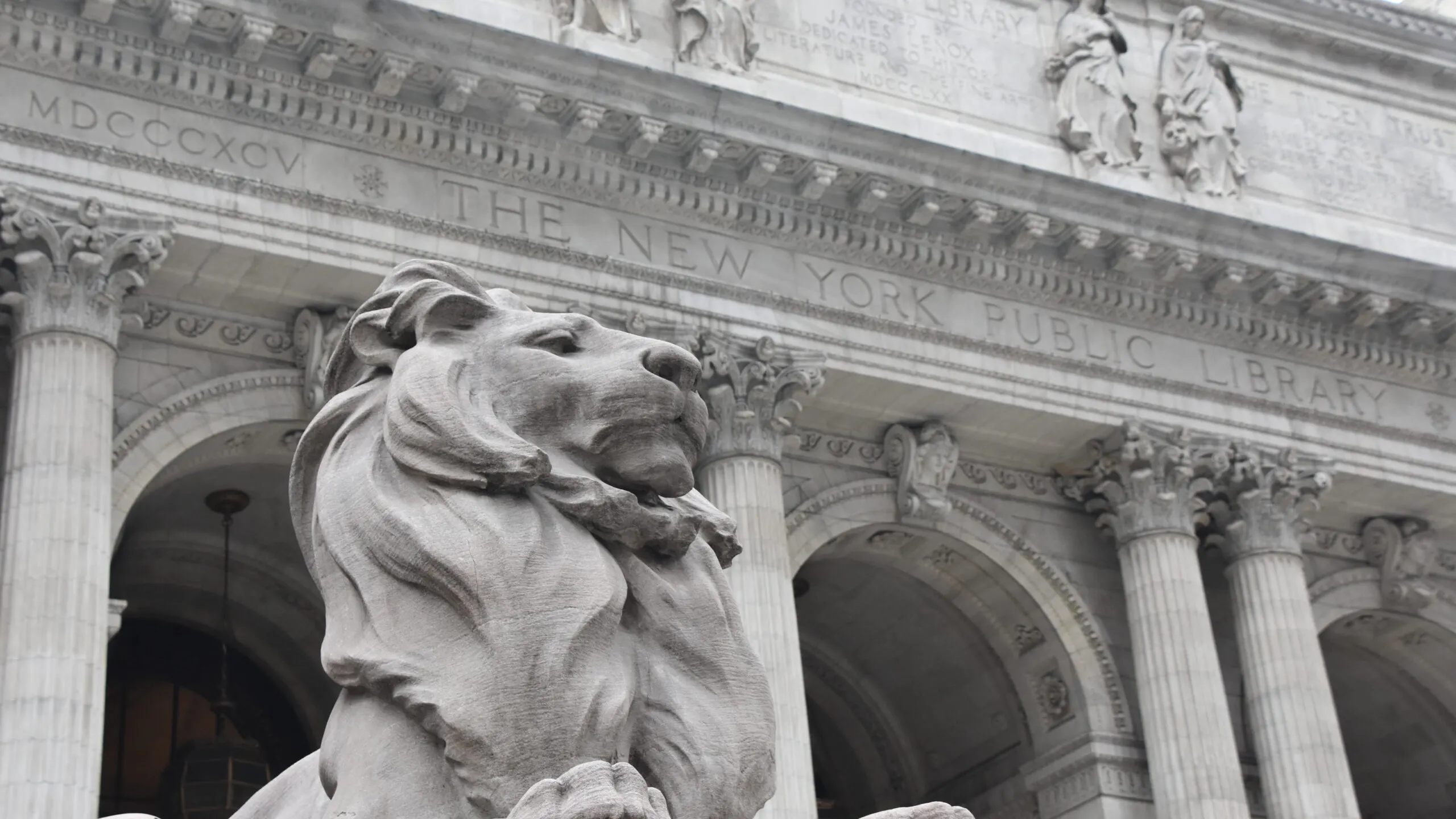 NYPD Arrest Man Assaulting Undercover Cop After Altercation With Drag Queen Story Hour Protestors