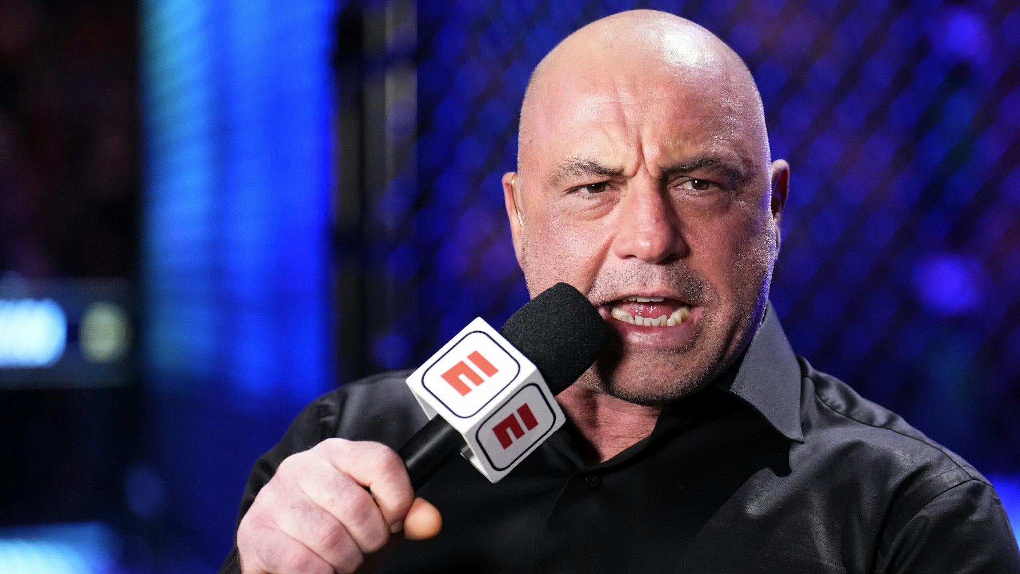 NEW YORK, NEW YORK - NOVEMBER 12: Joe Rogan anchors the broadcast during the UFC 281 event at Madison Square Garden on November 12, 2022 in New York City.