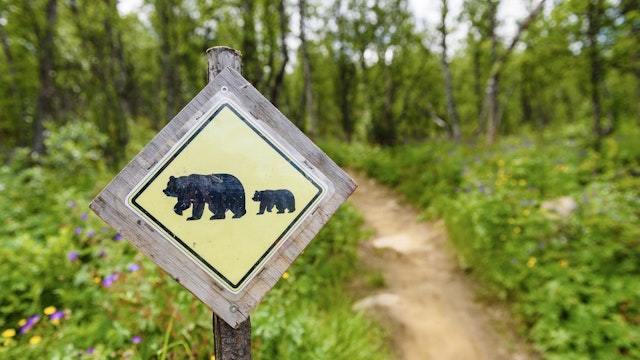 Bear crossing sign - stock photo Johner Images via Getty Images