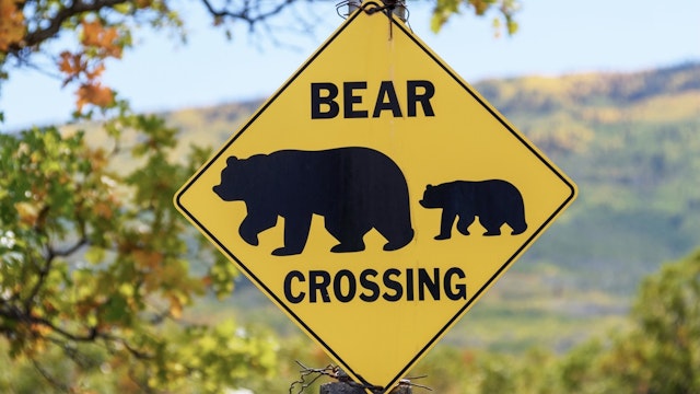 Bear Crossing road sign - stock photo Bear Crossing road sign. Beautiful blurred fall landscape background. Michael Vi via Getty Images