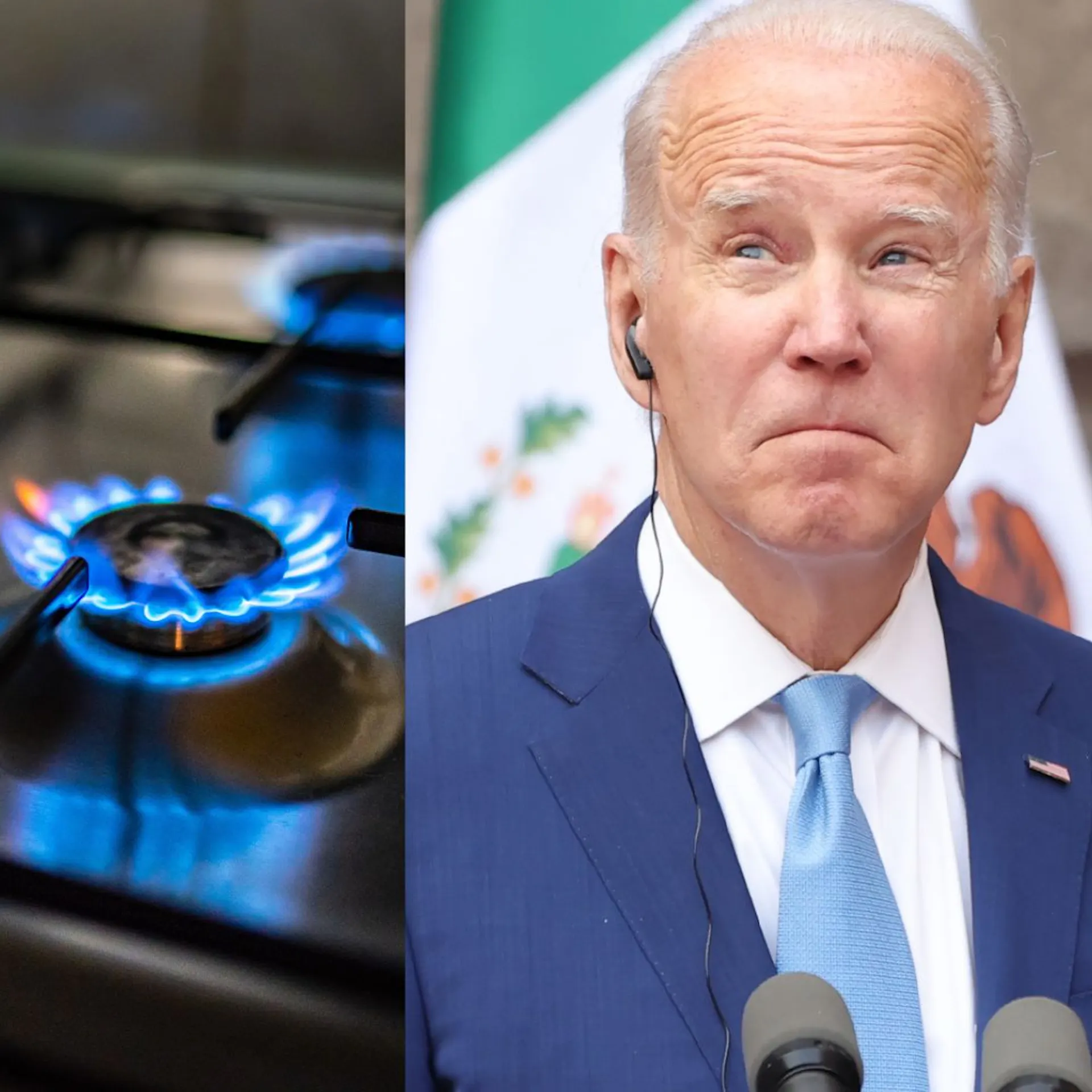 Biden Admin In December: ‘Banning Gas Stoves Entirely … It’s A Real Possibility Here’