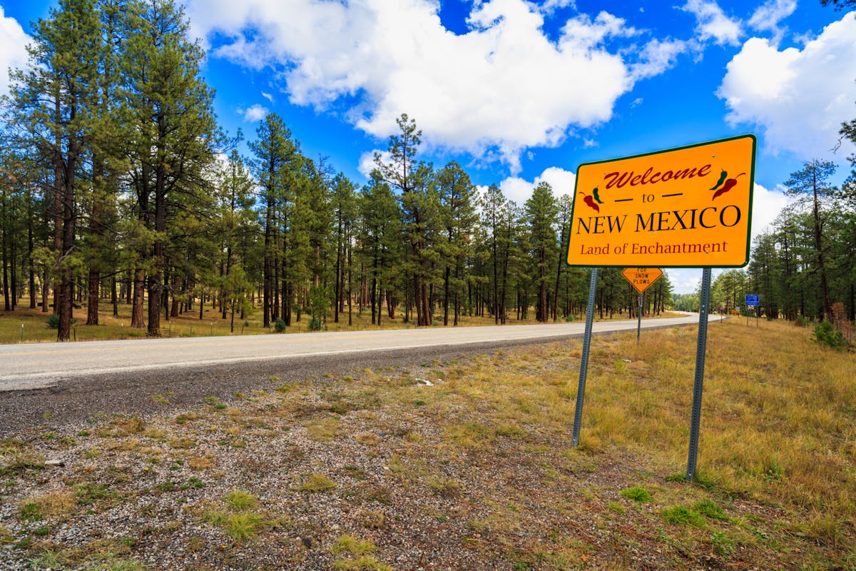 NextImg:Federal Helicopter Teams Set To Gun Down Wild Cattle In New Mexico. Ranchers Are Furious. | The Daily Wire