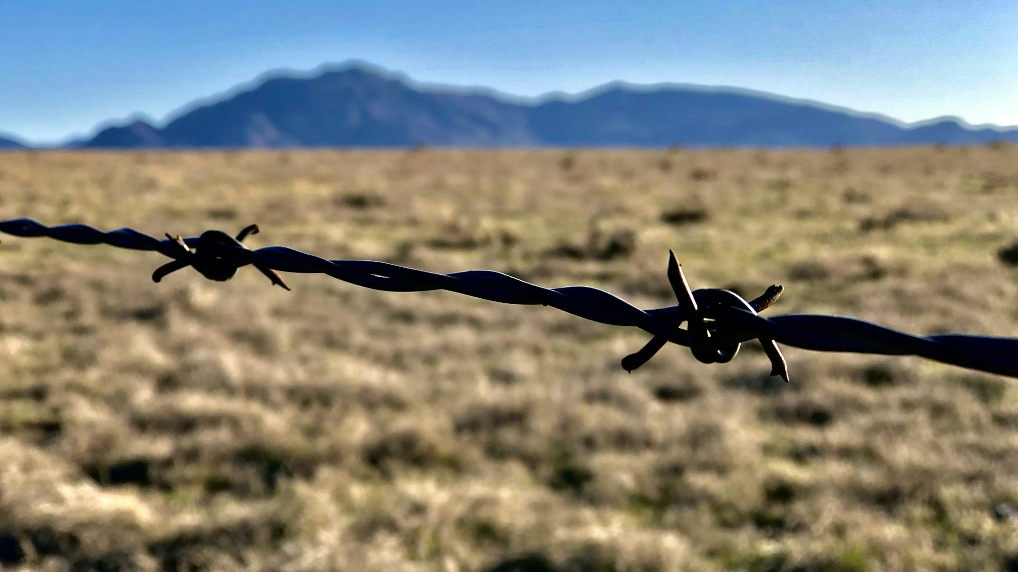 Close Up Barbed Wire Fence Line Open Range - stock photo