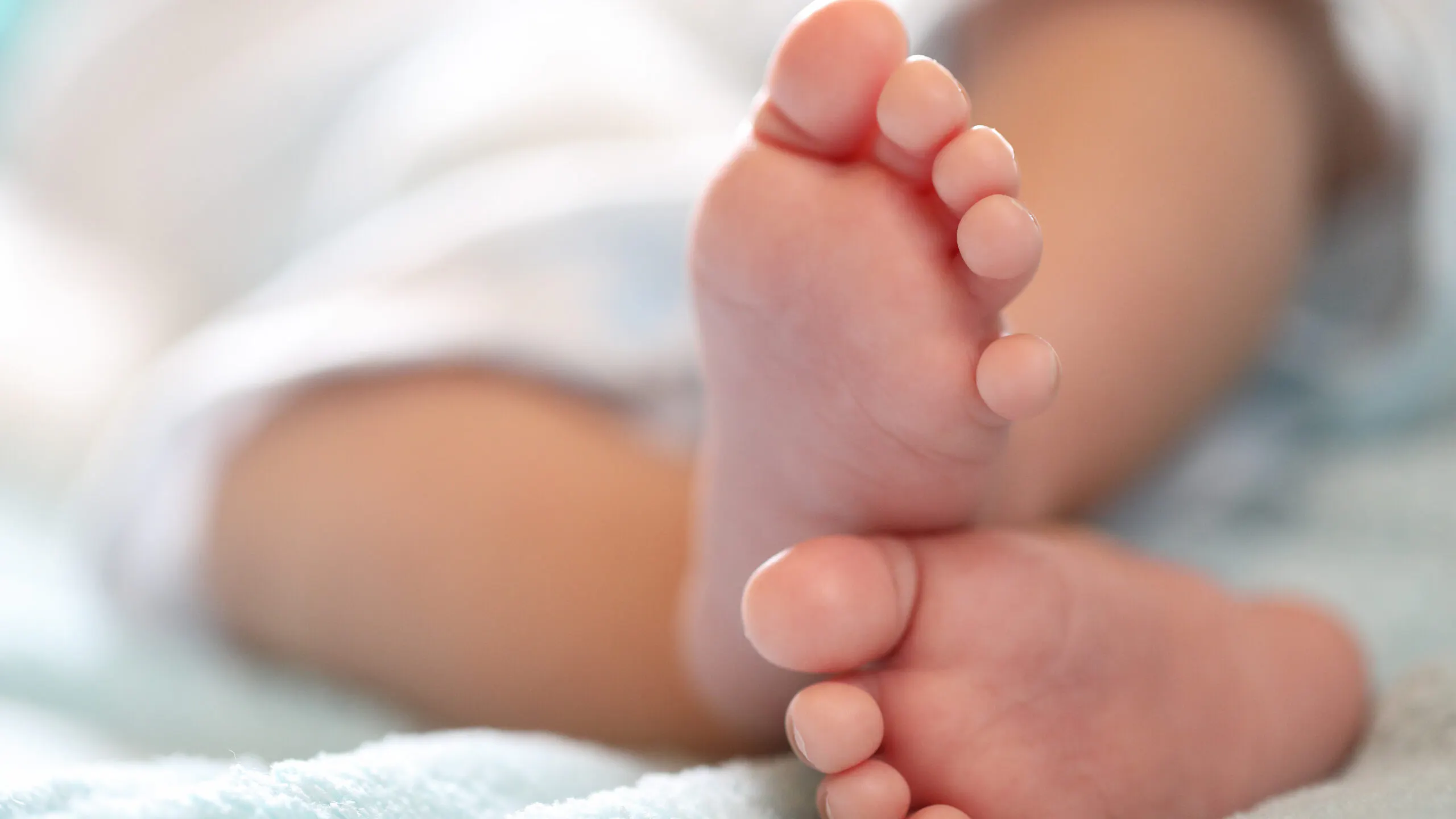 Florida Supreme Court Allows Six-Week Abortion Ban To Take Effect, Opens Door For Ballot Referendum