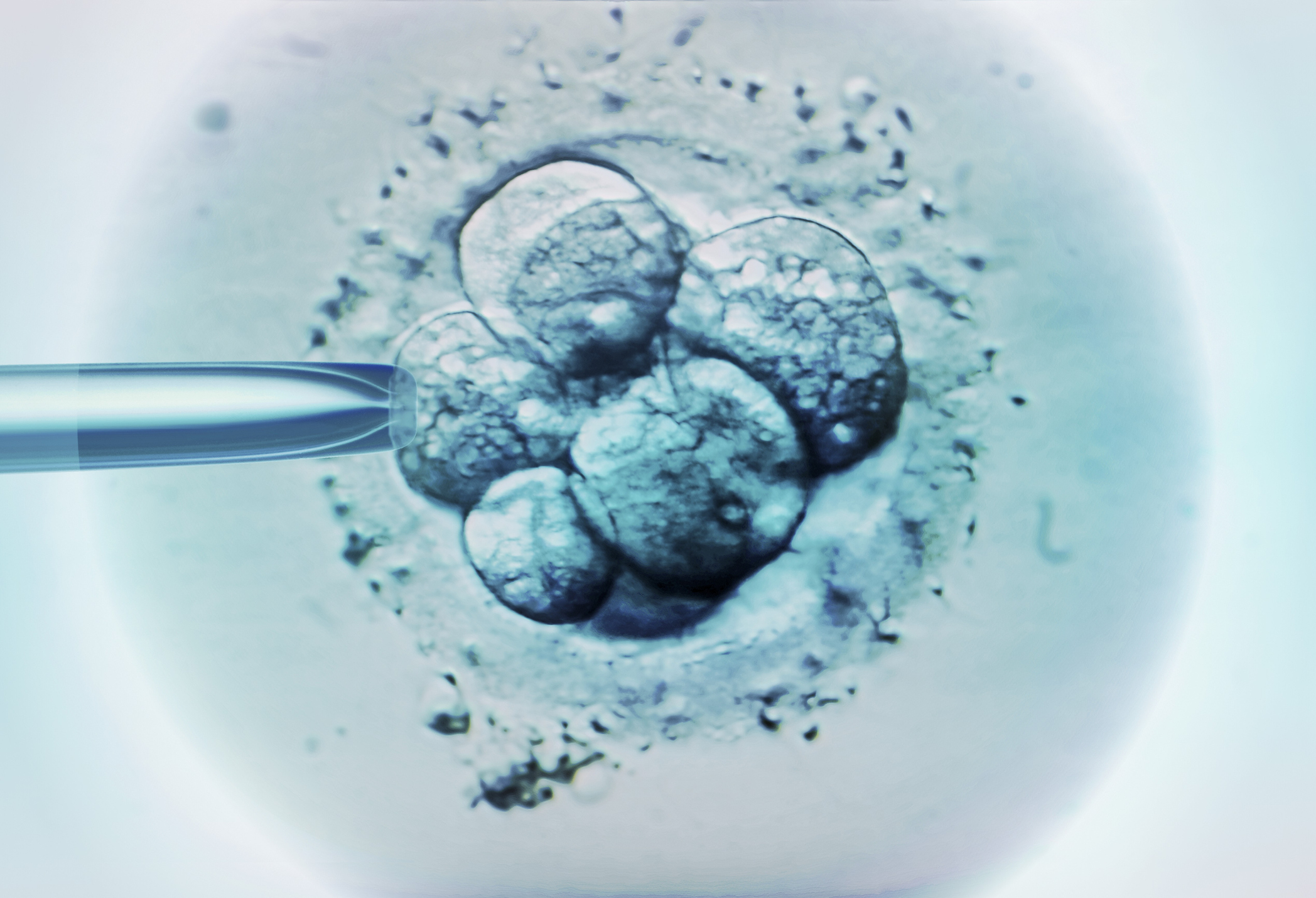Virginia Judge Rules Embryos Are Property, ‘Chattel’ Using Slavery Law