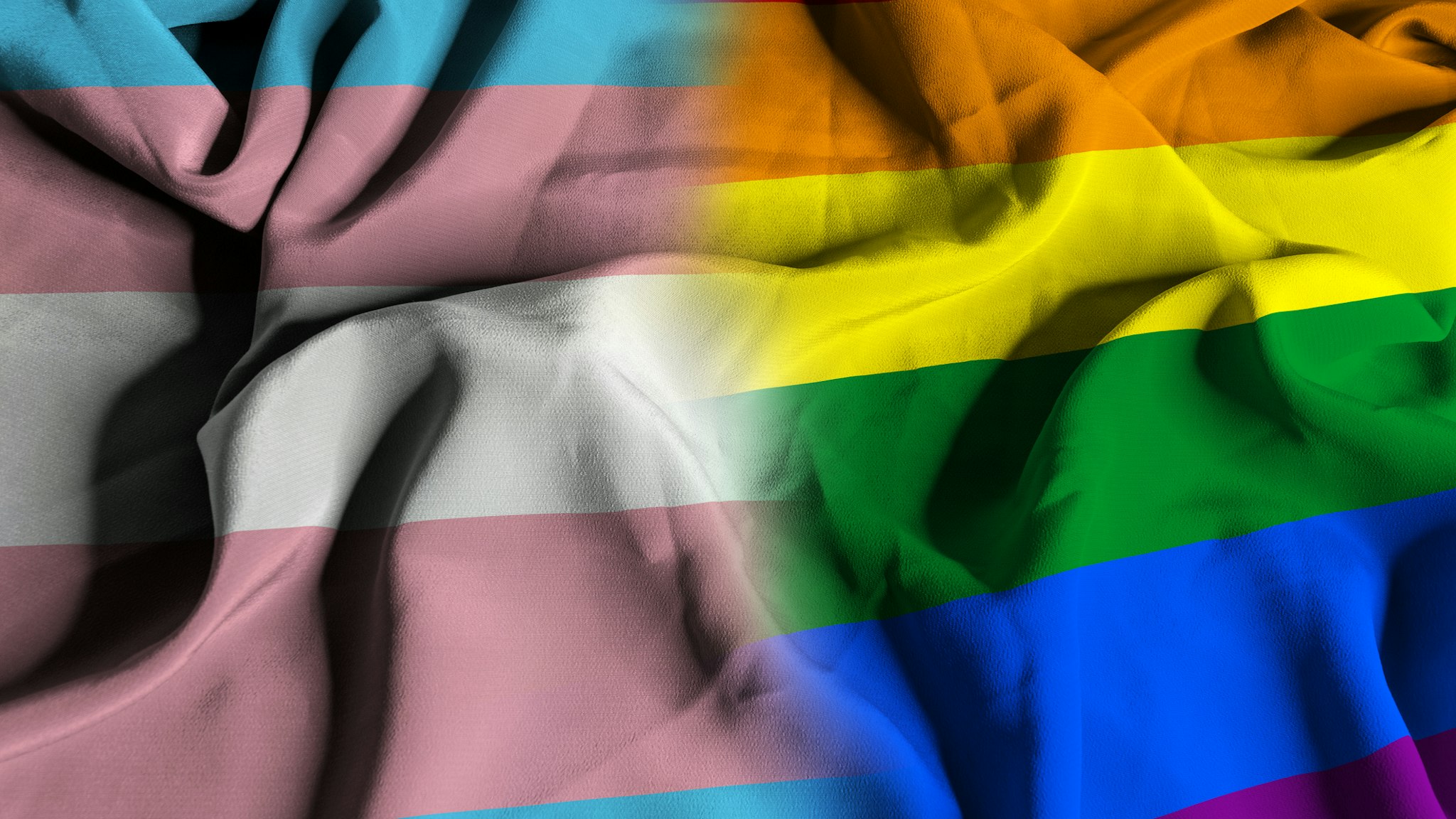 Flags of the Transgender Pride Movement and of the Lesbian, Gay, Bisexual, Transgender and Queer Pride and Social Movements