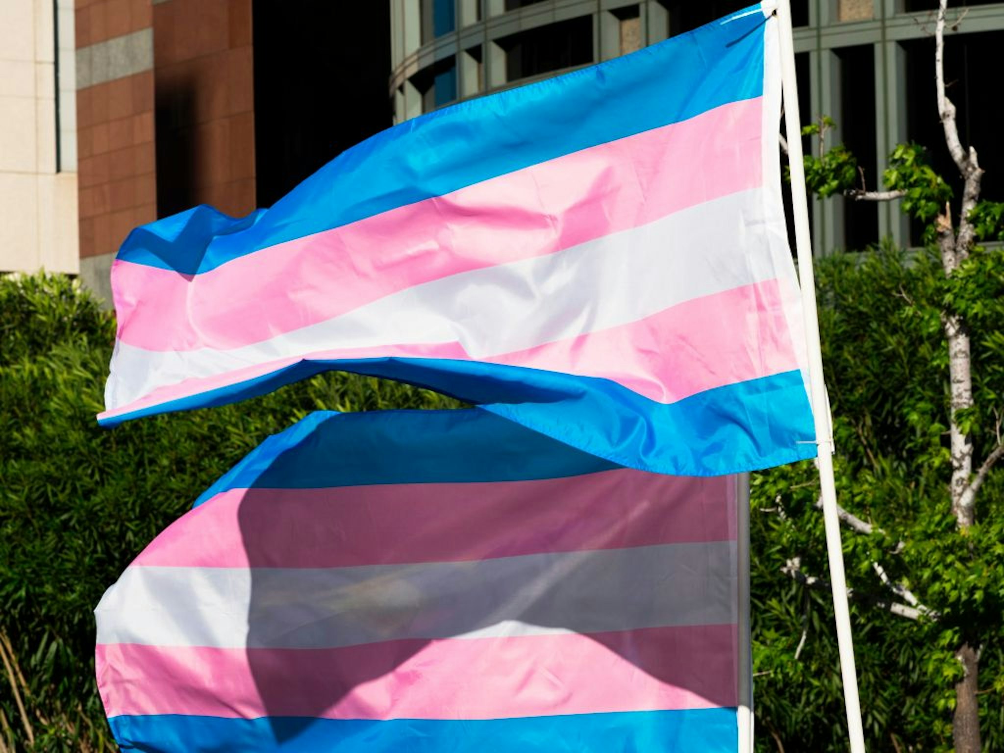 Trans pride flags flutter in the wind at a gathering to celebrate International Transgender Day of Visibility, March 31, 2017 at the Edward R. Roybal Federal Building in Los Angeles, California. International Transgender Day of Visibility is dedicated to celebrating transgender people and raising awareness of discrimination faced by transgender people worldwide.
