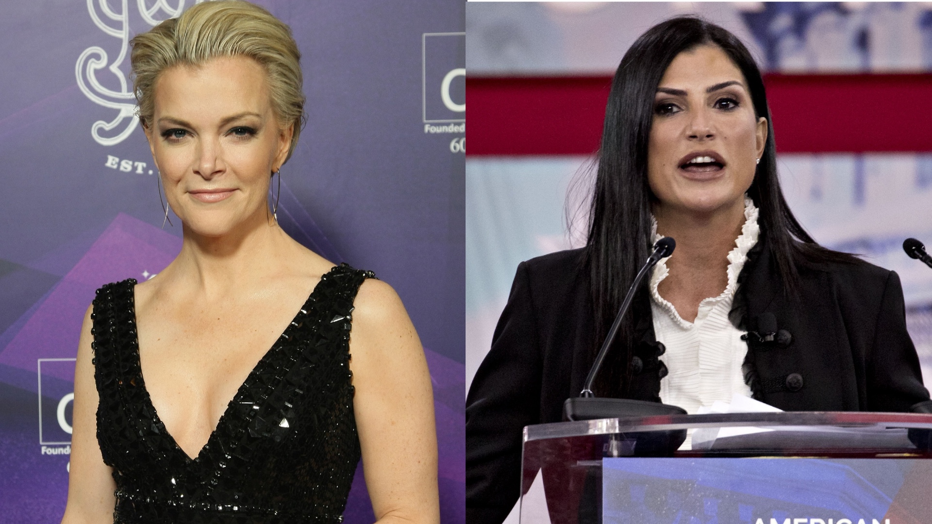 Megyn Kelly, Dana Loesch And Others Label Nashville PD ‘Heroes’
