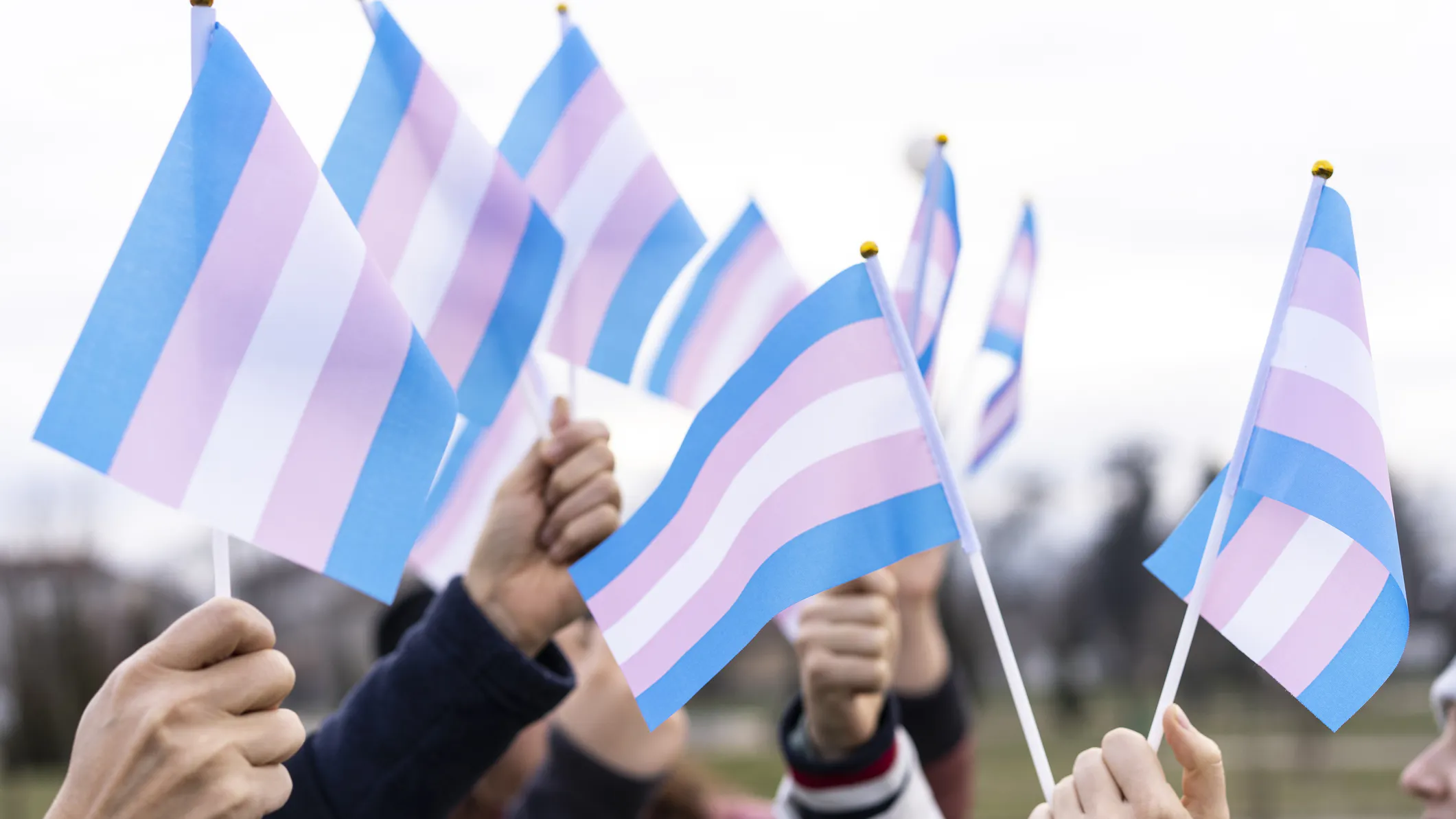 2023: The Year The Radical Trans Activists Got Ahead Of Their Gender-Fluid Skis