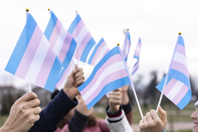 Trans flags/ Getty Images