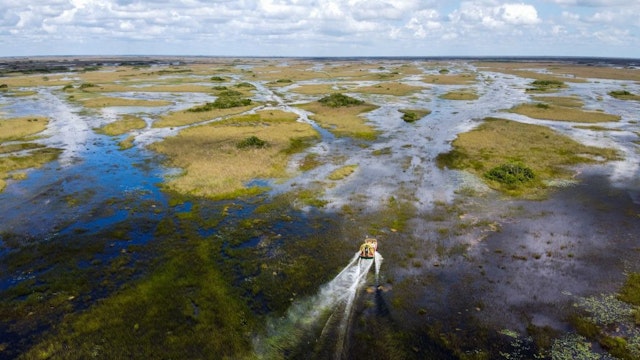 TOPSHOT - A airboat is seen hovering over Everglades wetland in Everglades wetlands in Everglades National Park, Florida on September 30, 2021. - The largest wetland in the United States is the battleground for one of the largest ecological conservation efforts in the world. But time is running short, and global warming is threatening a subtropical wilderness that is home to more than 2,000 species of animals and plants. (Photo by CHANDAN KHANNA / AFP) (Photo by CHANDAN KHANNA/AFP via Getty Images)