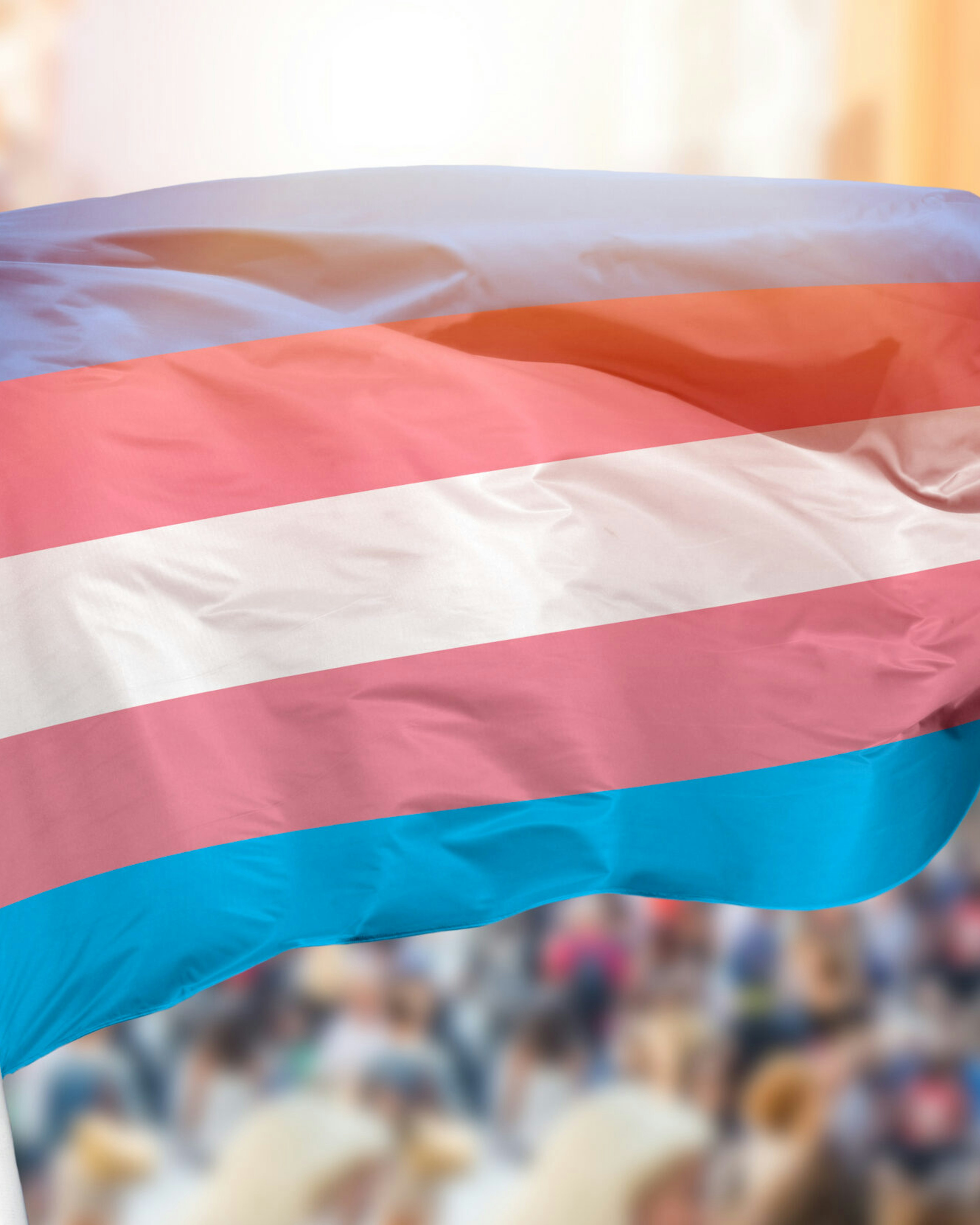 Transgender flag at protest.