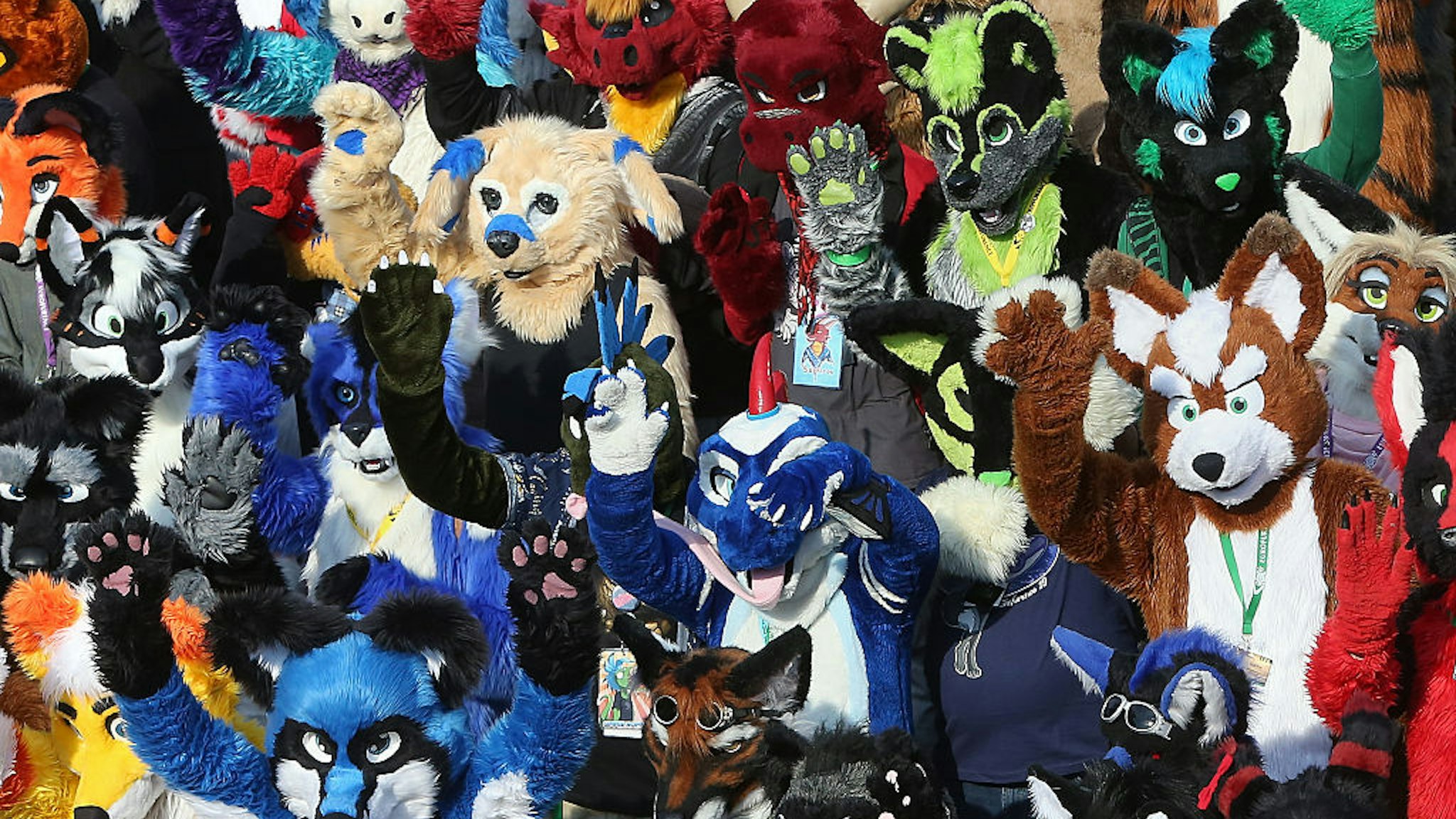 BERLIN, GERMANY - AUGUST 21: Furry enthusiasts gather at the Eurofurence 2015 conference on August 21, 2015 in Berlin, Germany. Furry fandom, a term used in zines as early as 1983 and also known as furrydom, furridom, fur fandom or furdom, refers to a subculture whose followers express an interest in anthropomorphic, or half-human, half-animal, creatures in literature, cartoons, pop culture, or other artistic contexts. Many but not all of the followers of the movement wear furry animal costumes. The earliest citation of anthropomorphic literature regularly cited by furry fans is Aesop's Fables, dating to around 500 BC. (Photo by Adam Berry/Getty Images)