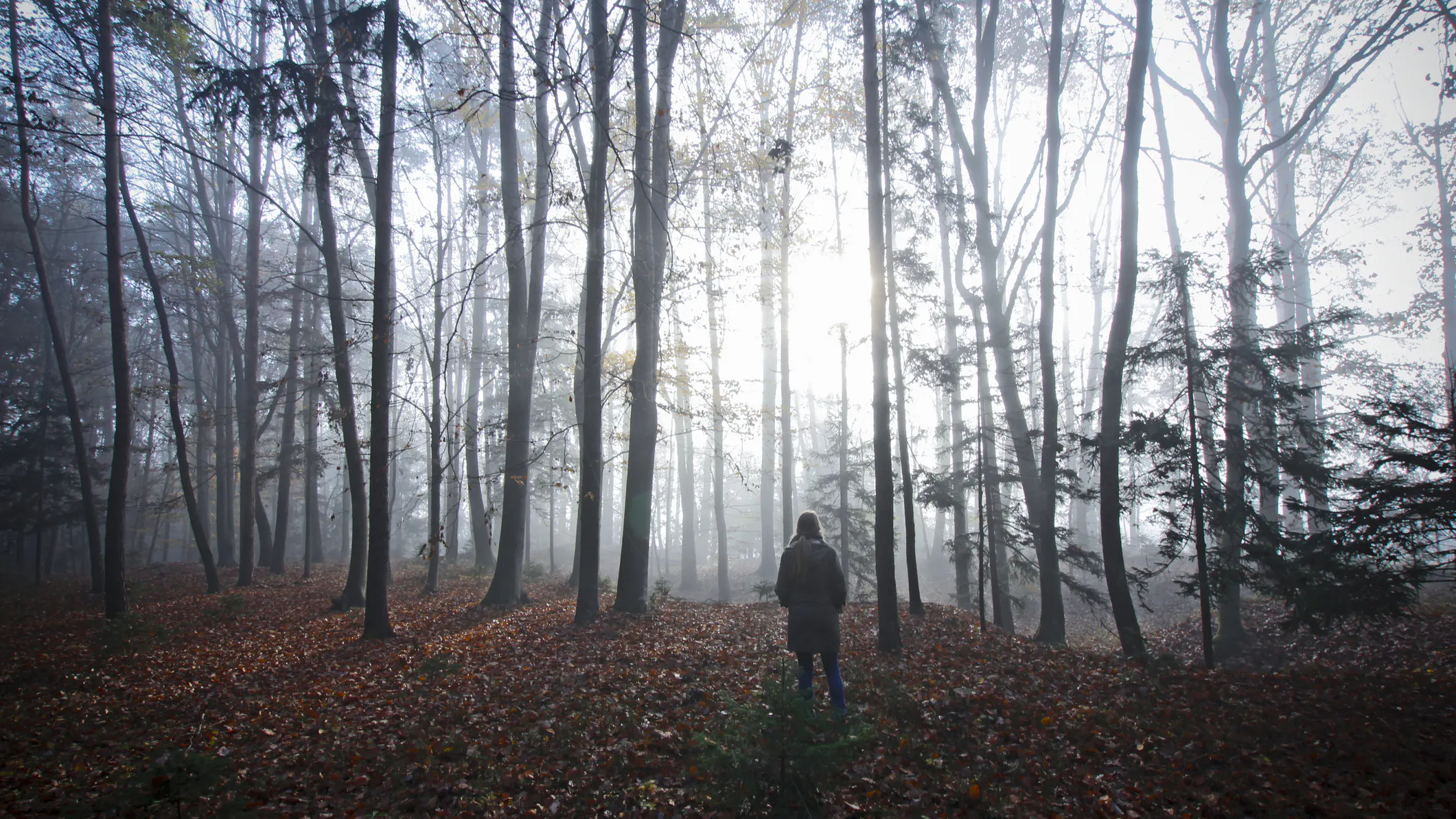 Man Previously Charged In Wife’s Disappearance Maintains Innocence, Sues Colorado Authorities